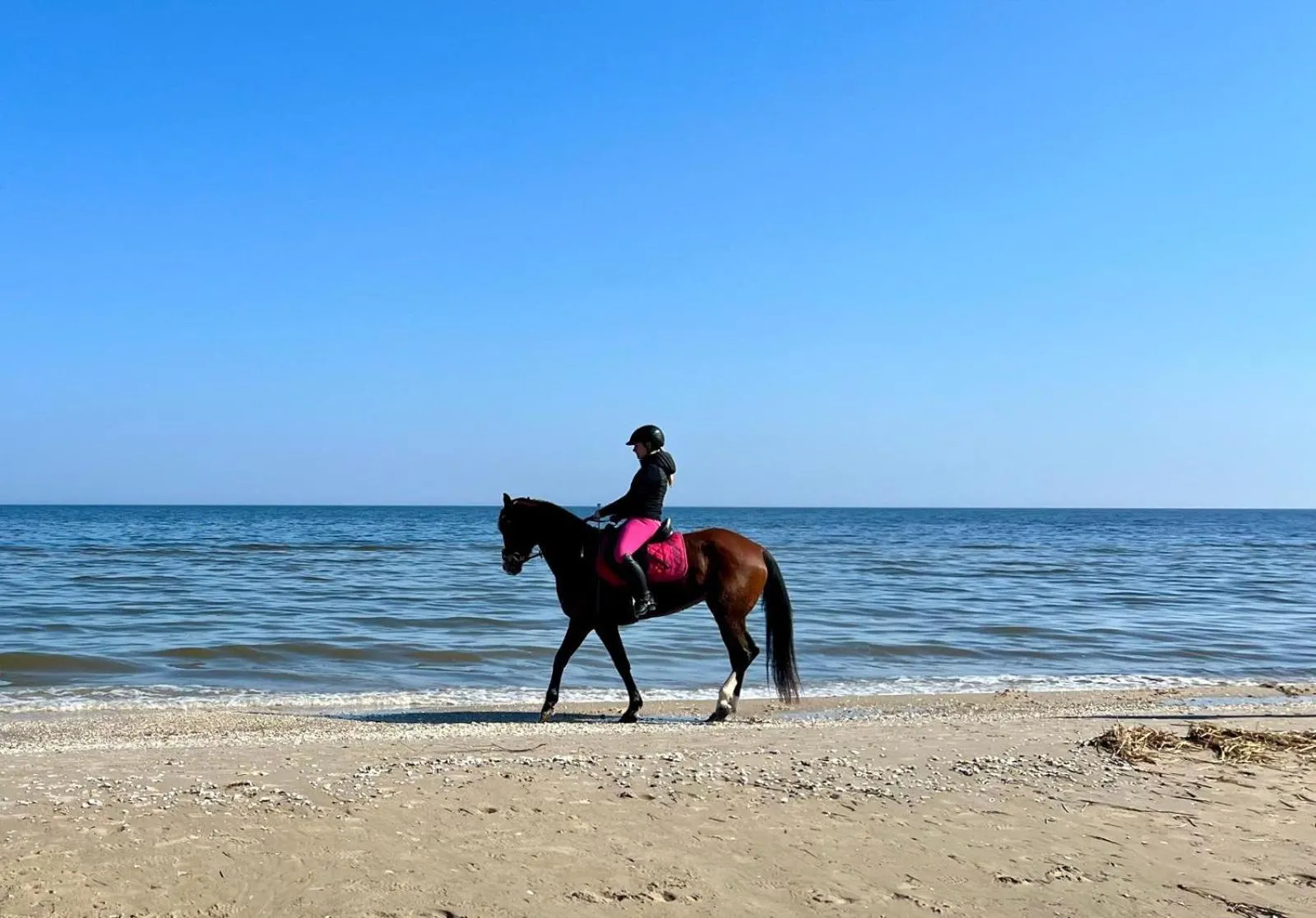Horse-riding in Hafenkiek 55 exklusiv wohnen am Yachthafen