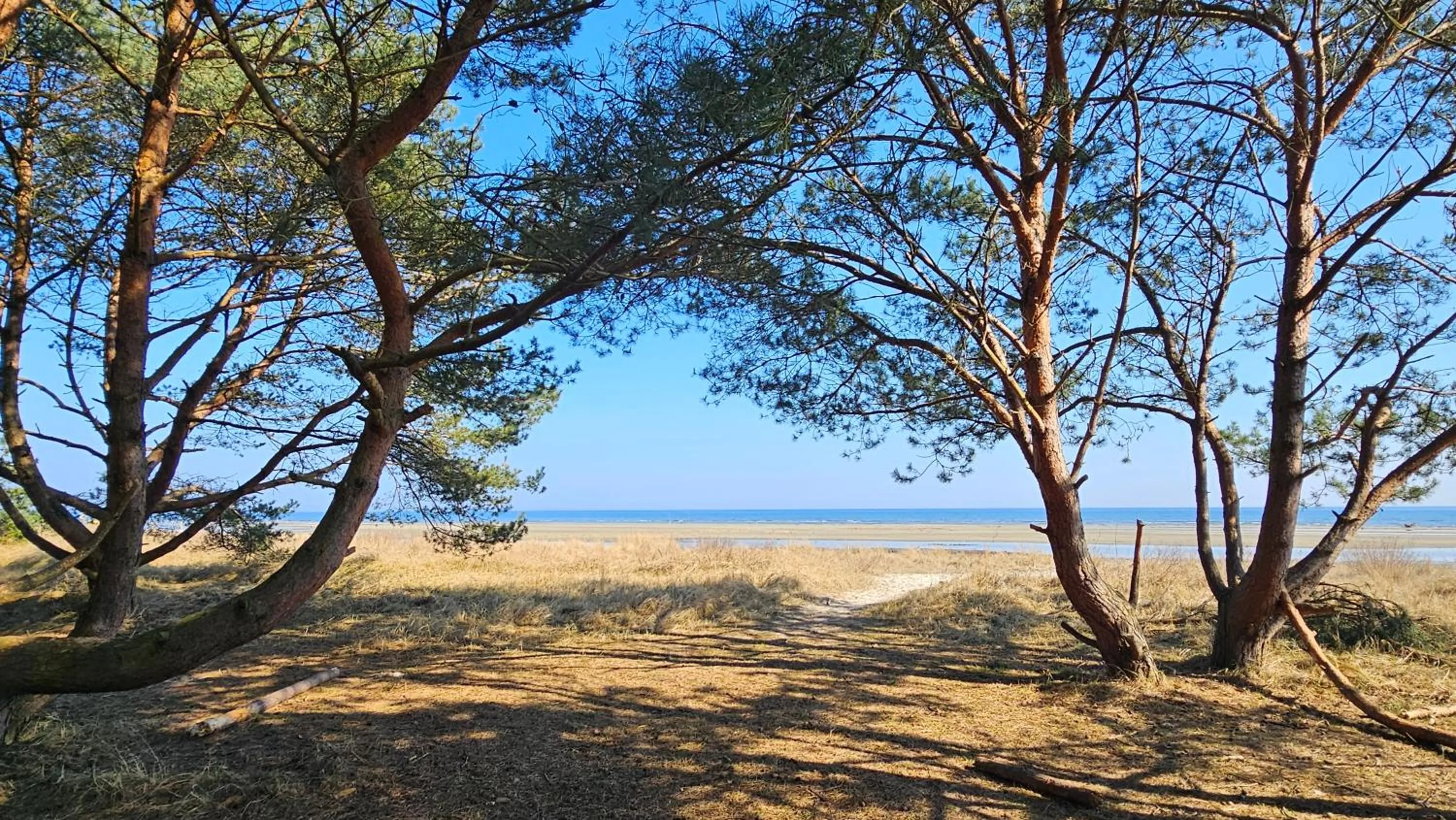 Natural landscape in Hafenkiek 55 exklusiv wohnen am Yachthafen