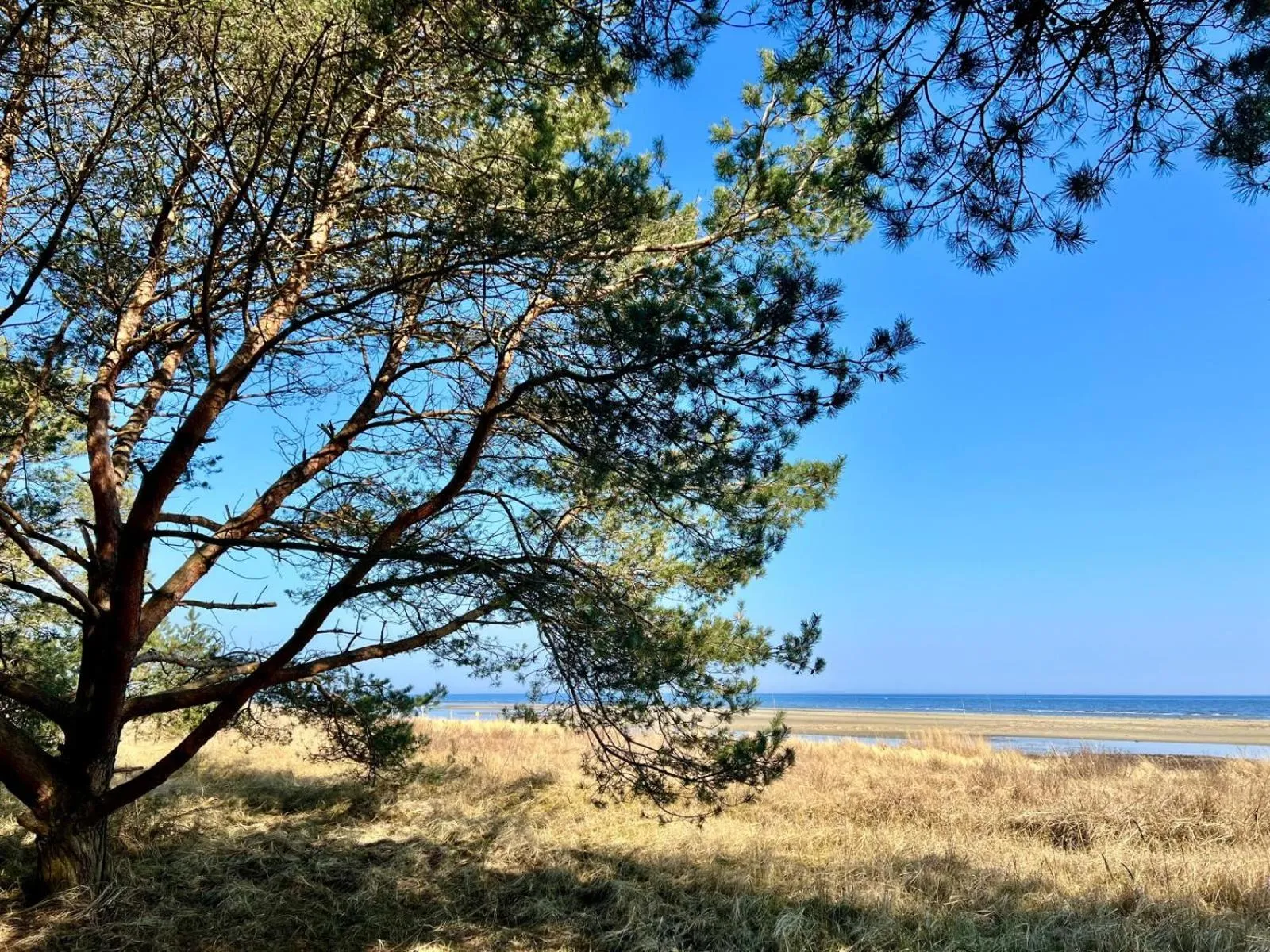 Natural landscape in Hafenkiek 55 exklusiv wohnen am Yachthafen