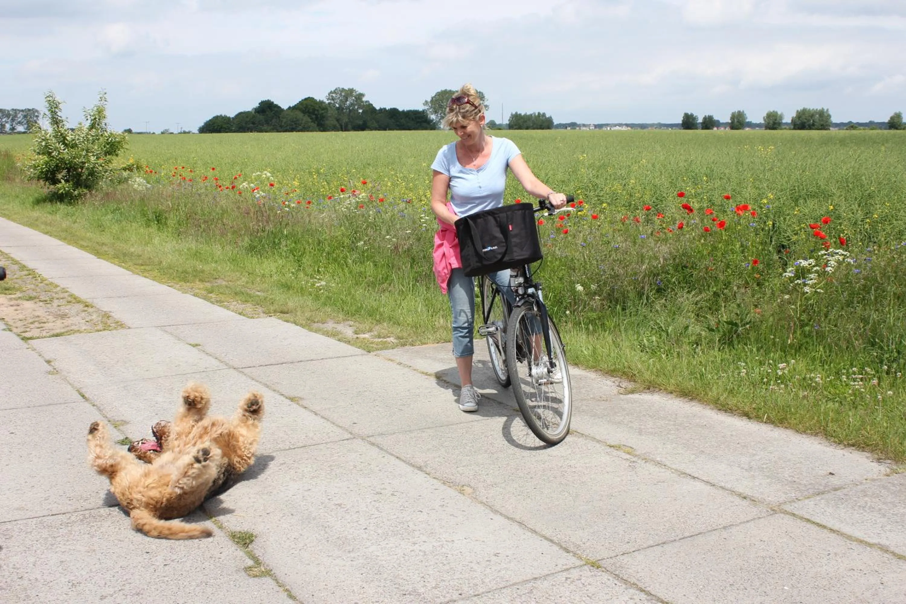 Cycling in Hafenkiek 55 exklusiv wohnen am Yachthafen
