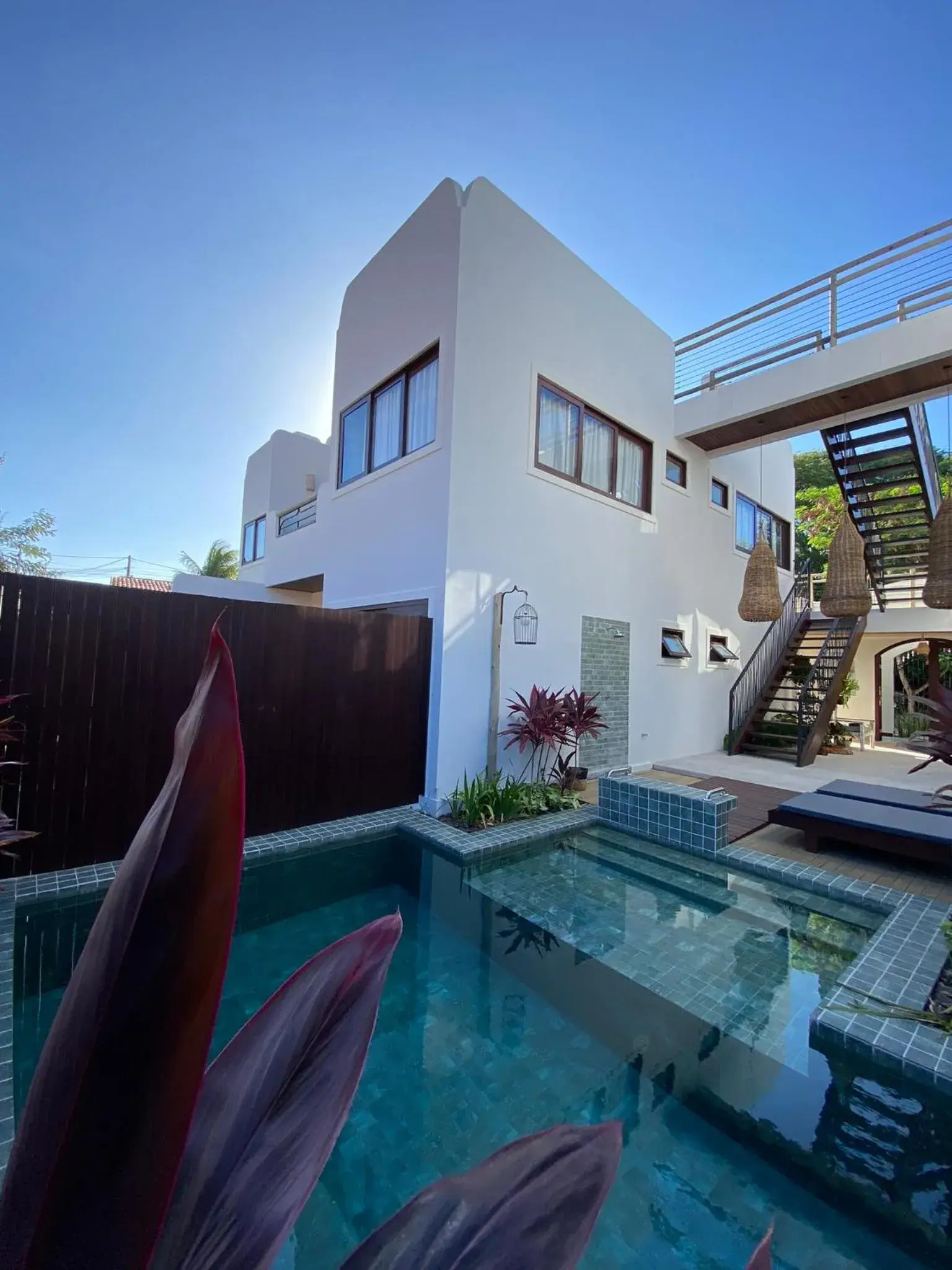 Zenhousepipa Zenhousepipa