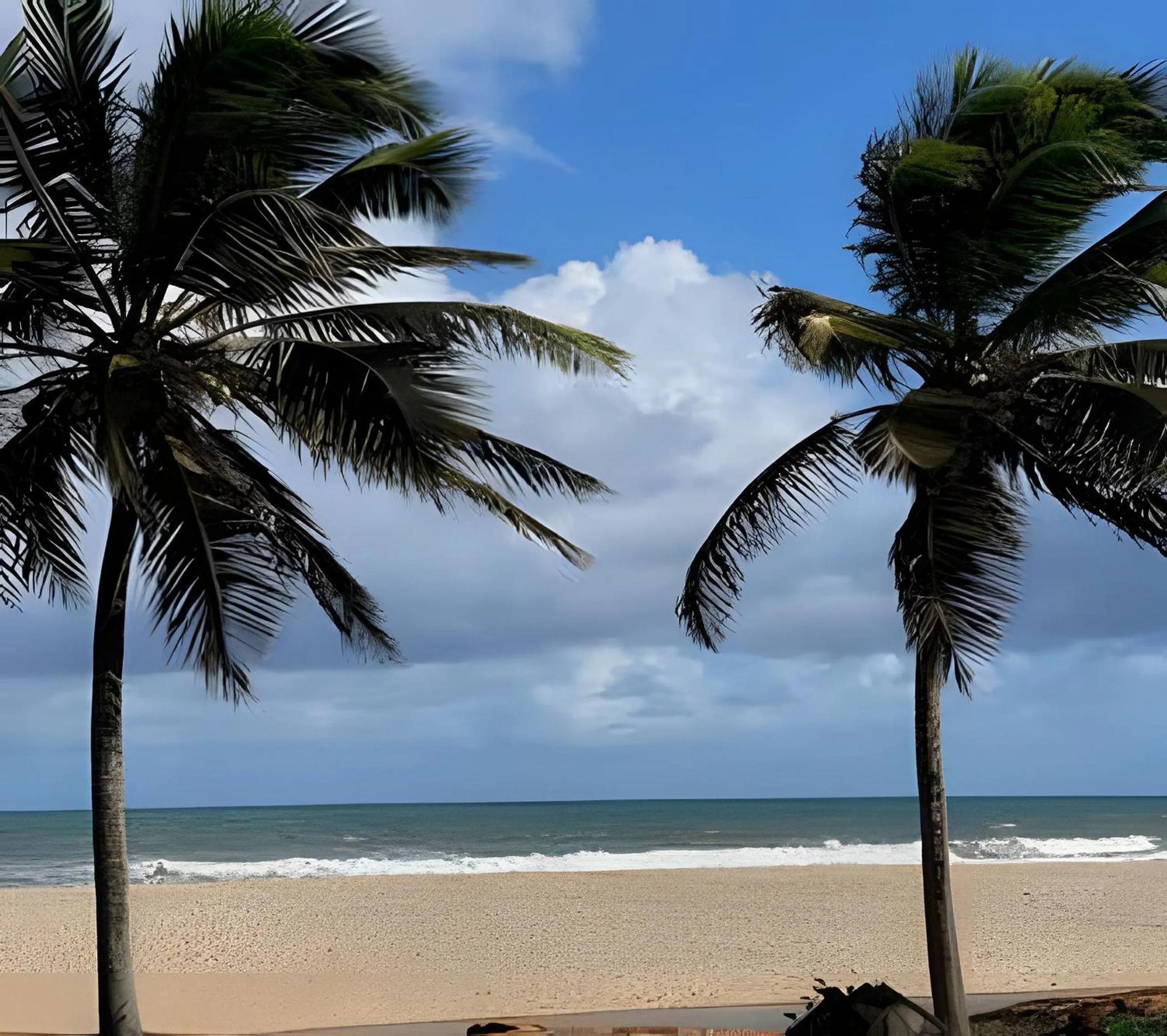Pé na areia - Reserva Ecológica - Tranquilidade