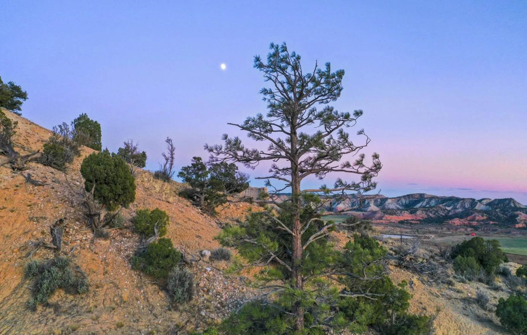 Natural landscape in Clear Sky Resorts - Bryce Canyon - Unique Stargazing Domes