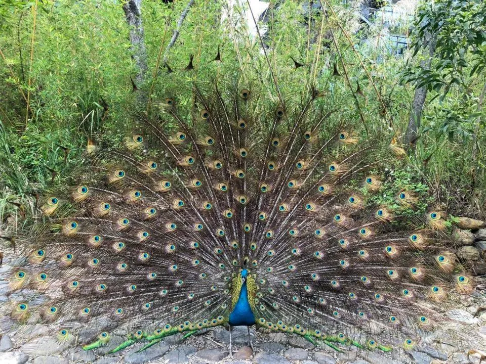 Off site in Taihua Wutong Hotel