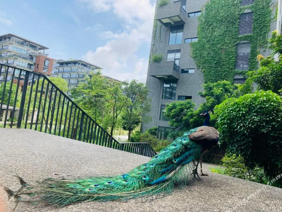 Off site in Taihua Wutong Hotel