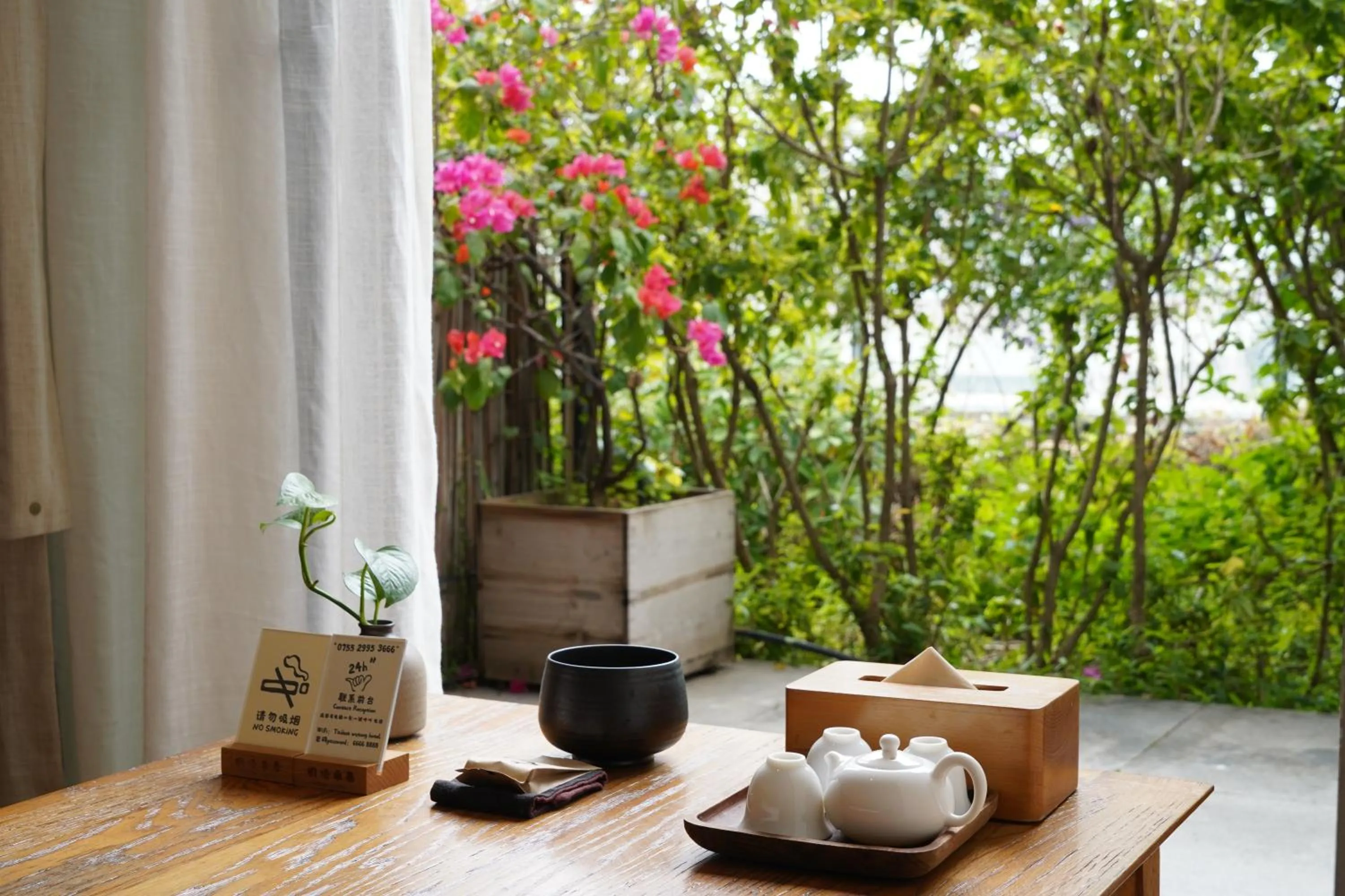 Spring in Taihua Wutong Hotel