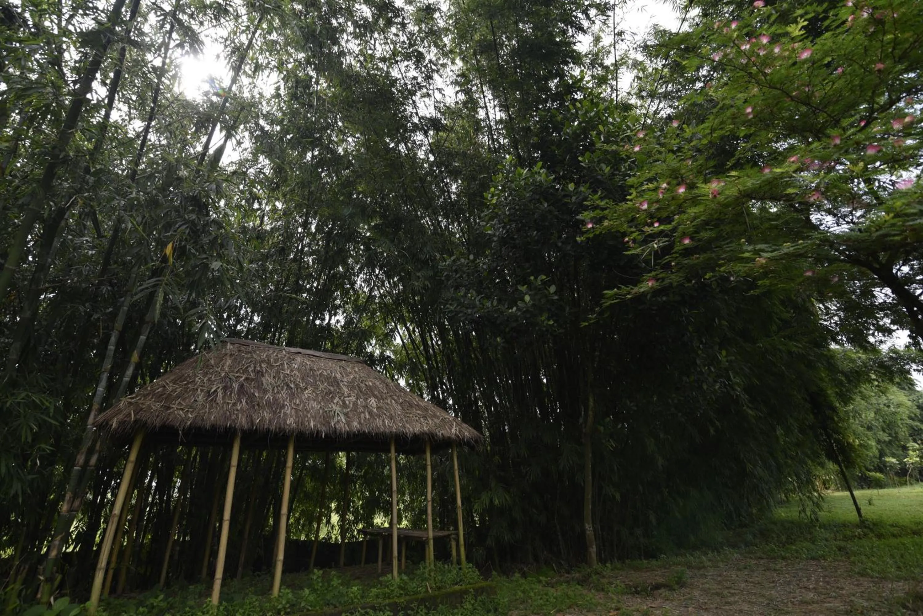 Sawasstika Eco Park Resort