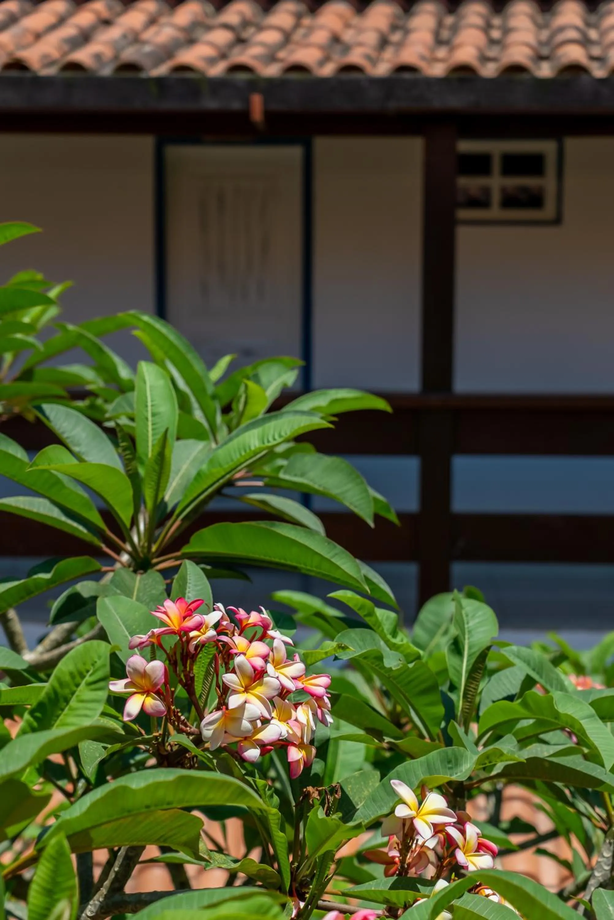 Garden in Villa Alexandre Pousada - Trancoso