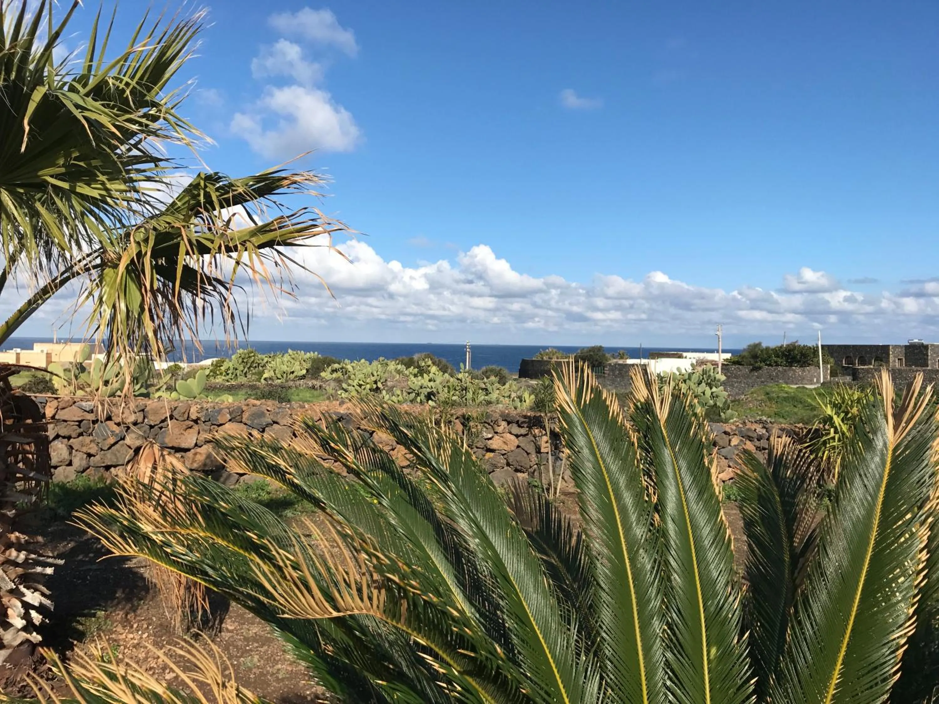 Garden view in Etherea - I Dammusini di Pantelleria