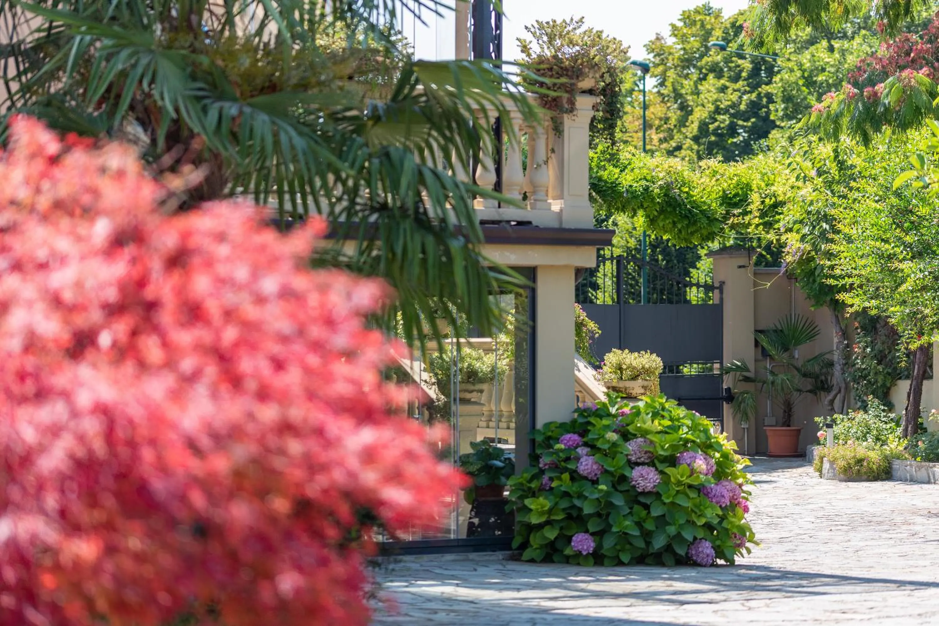 Garden in Villa Mery