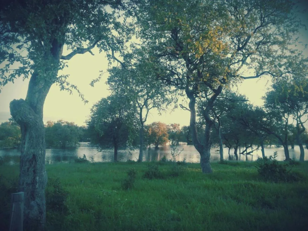 Natural landscape in Paradise Camp Game Lodge