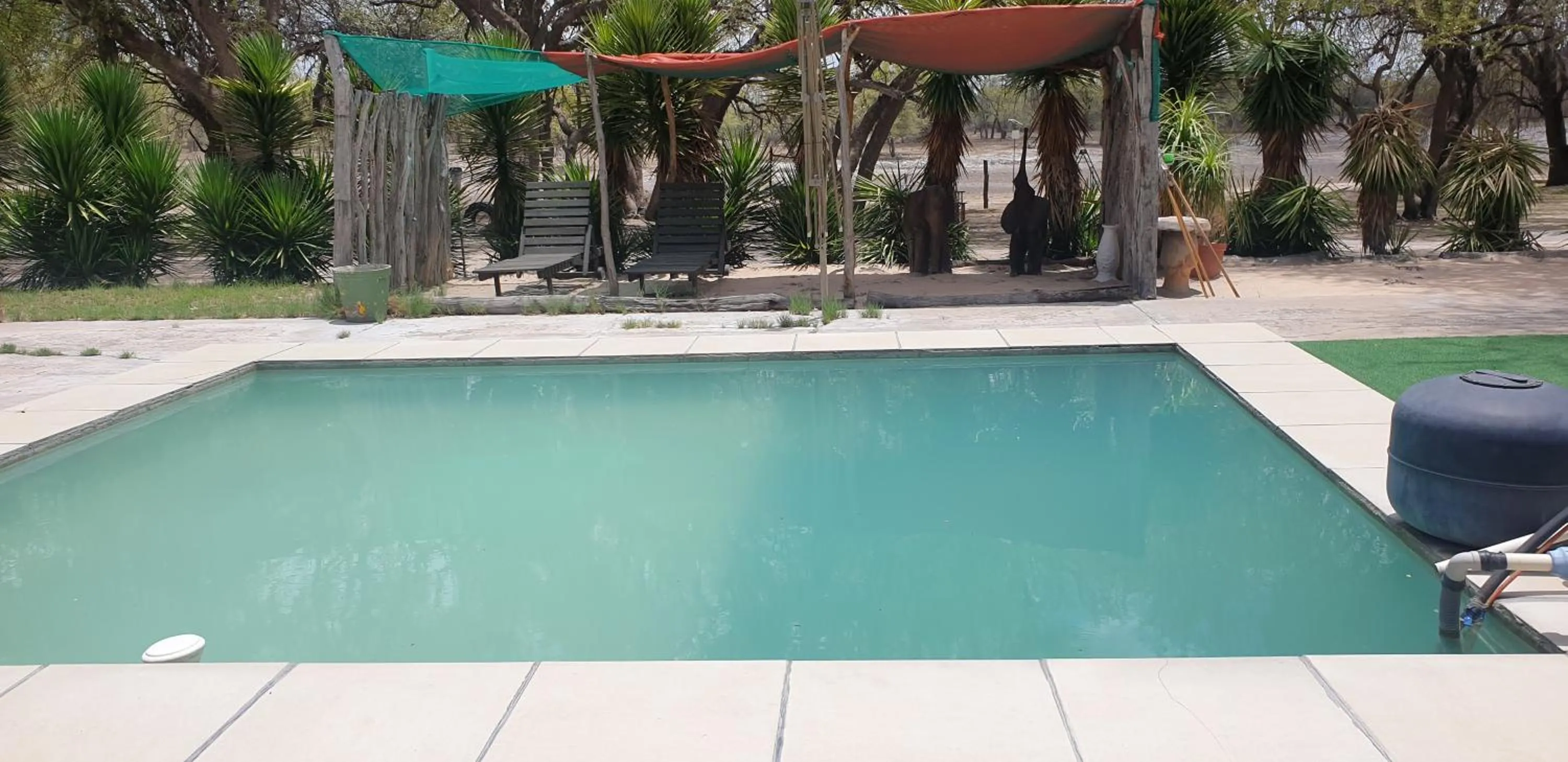 Swimming pool in Paradise Camp Game Lodge