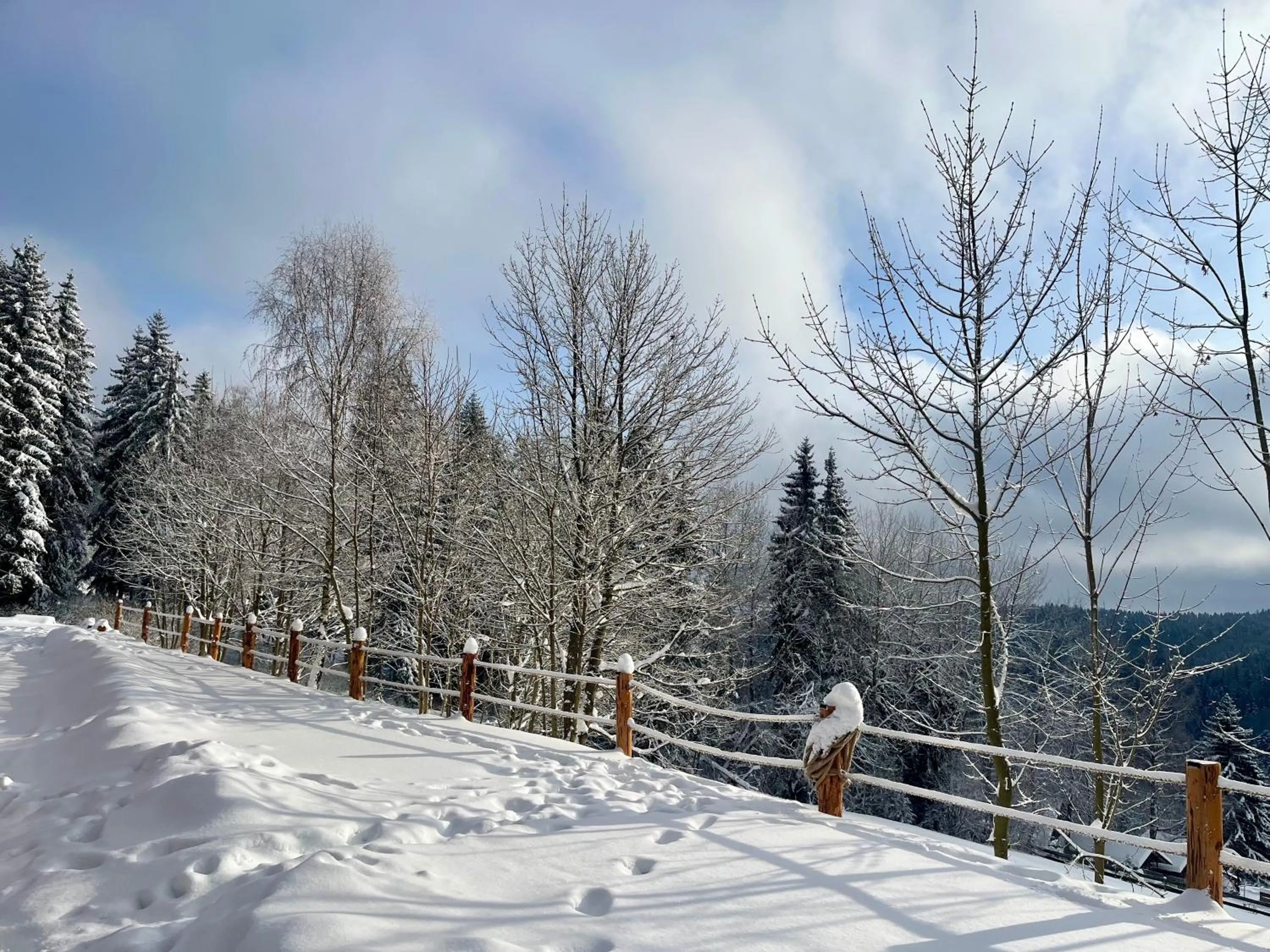 Winter in Ludvíkova bouda