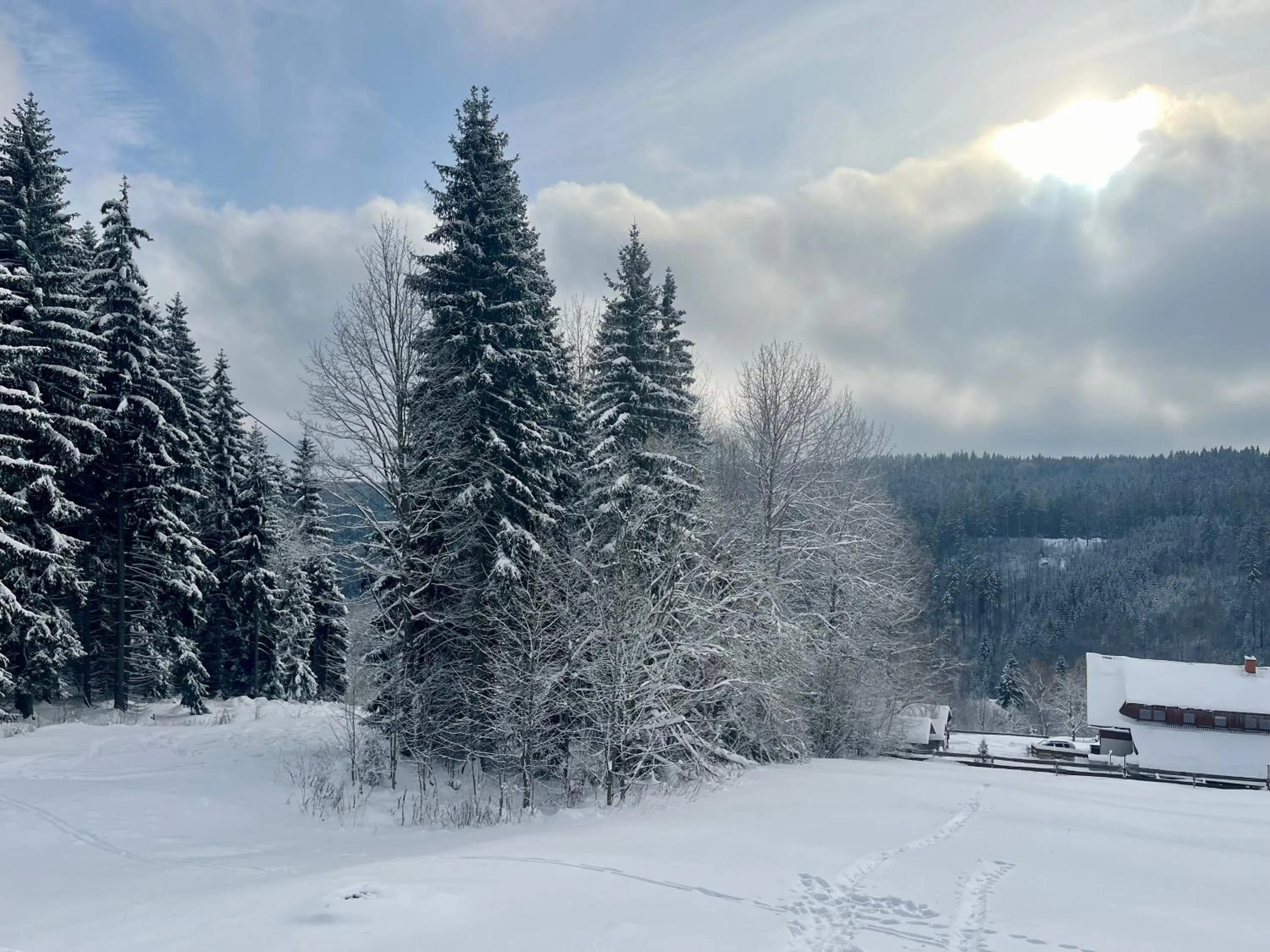 Day in Ludvíkova bouda