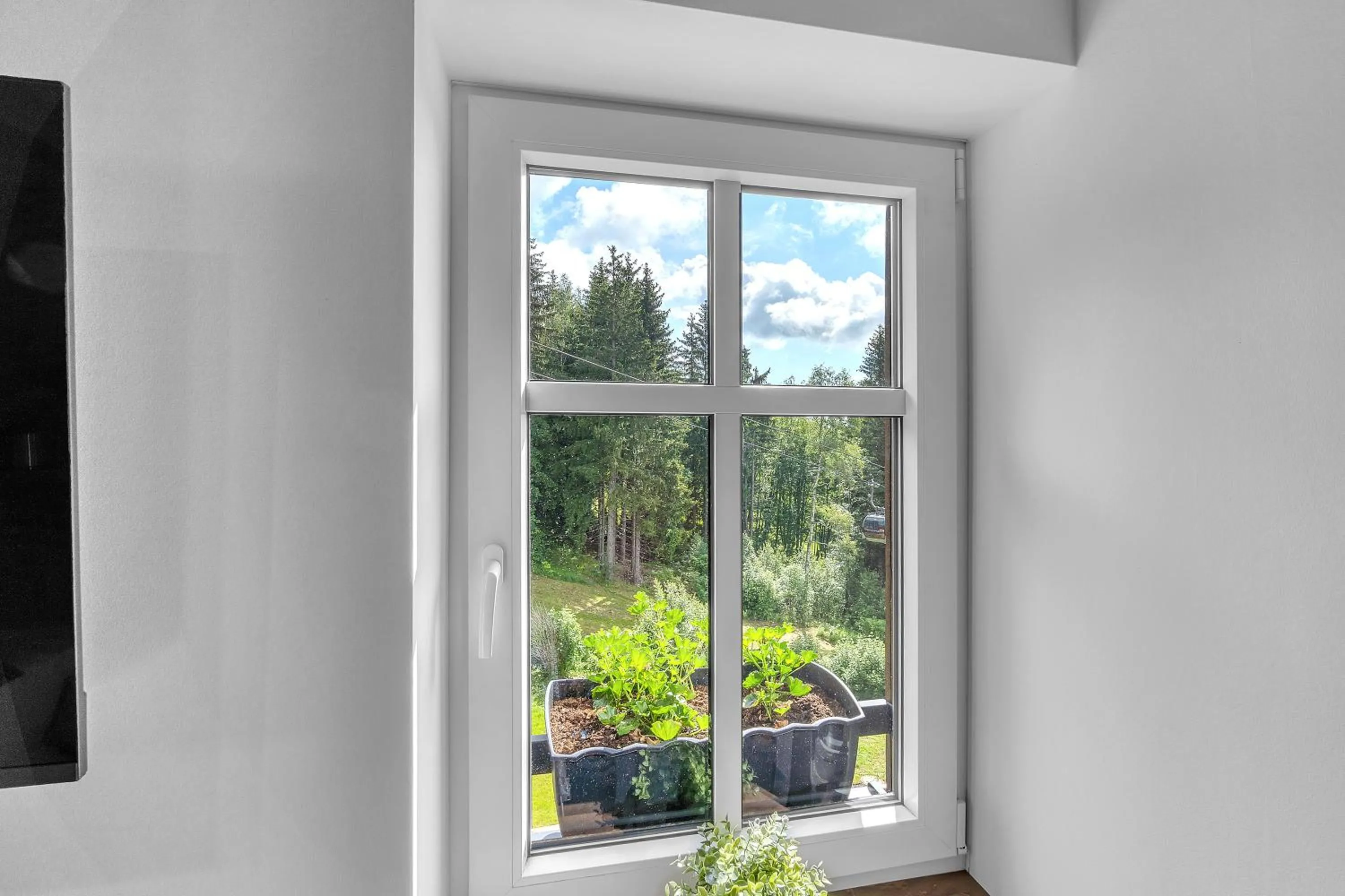 View (from property/room) in Ludvíkova bouda