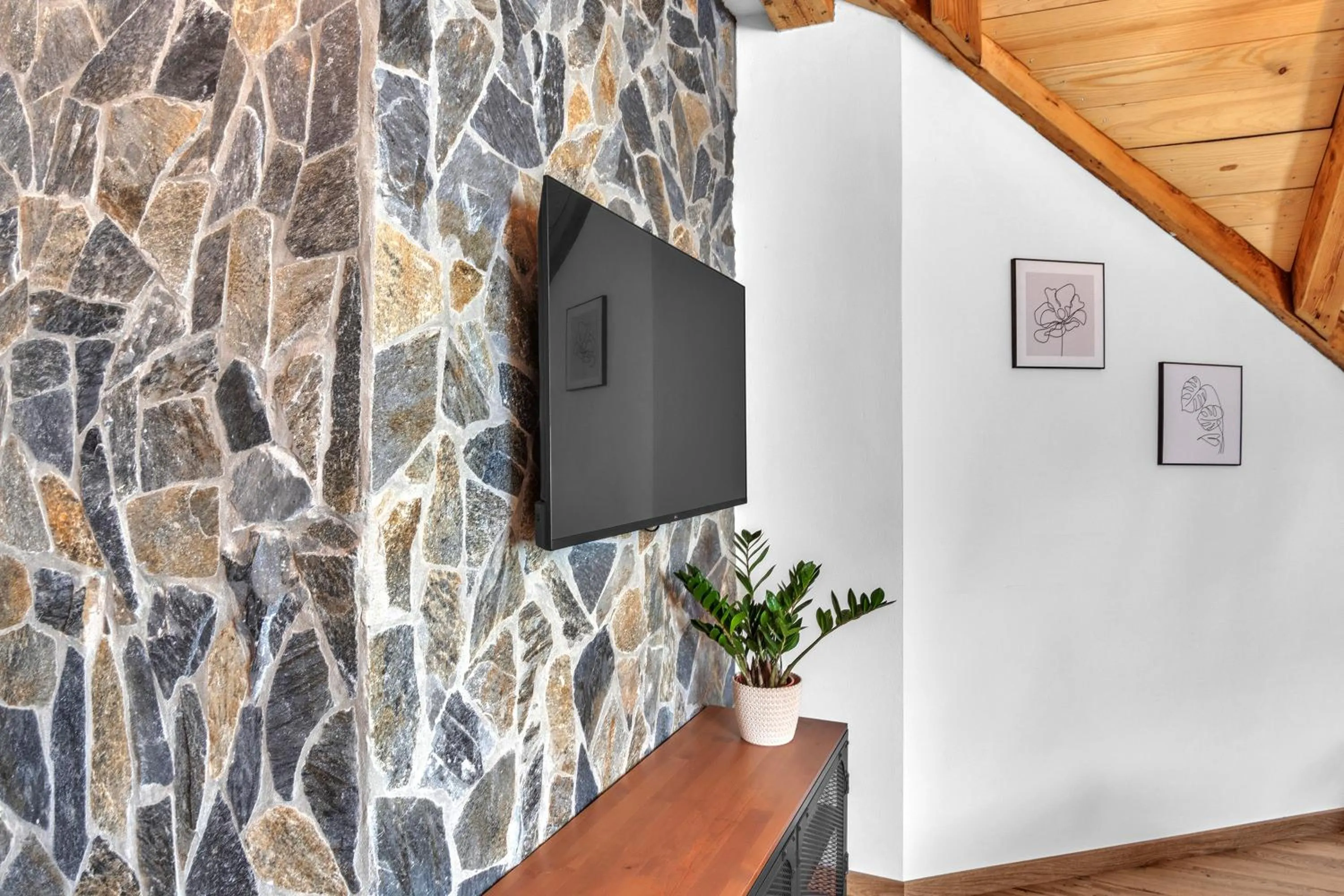 TV and multimedia in Ludvíkova bouda