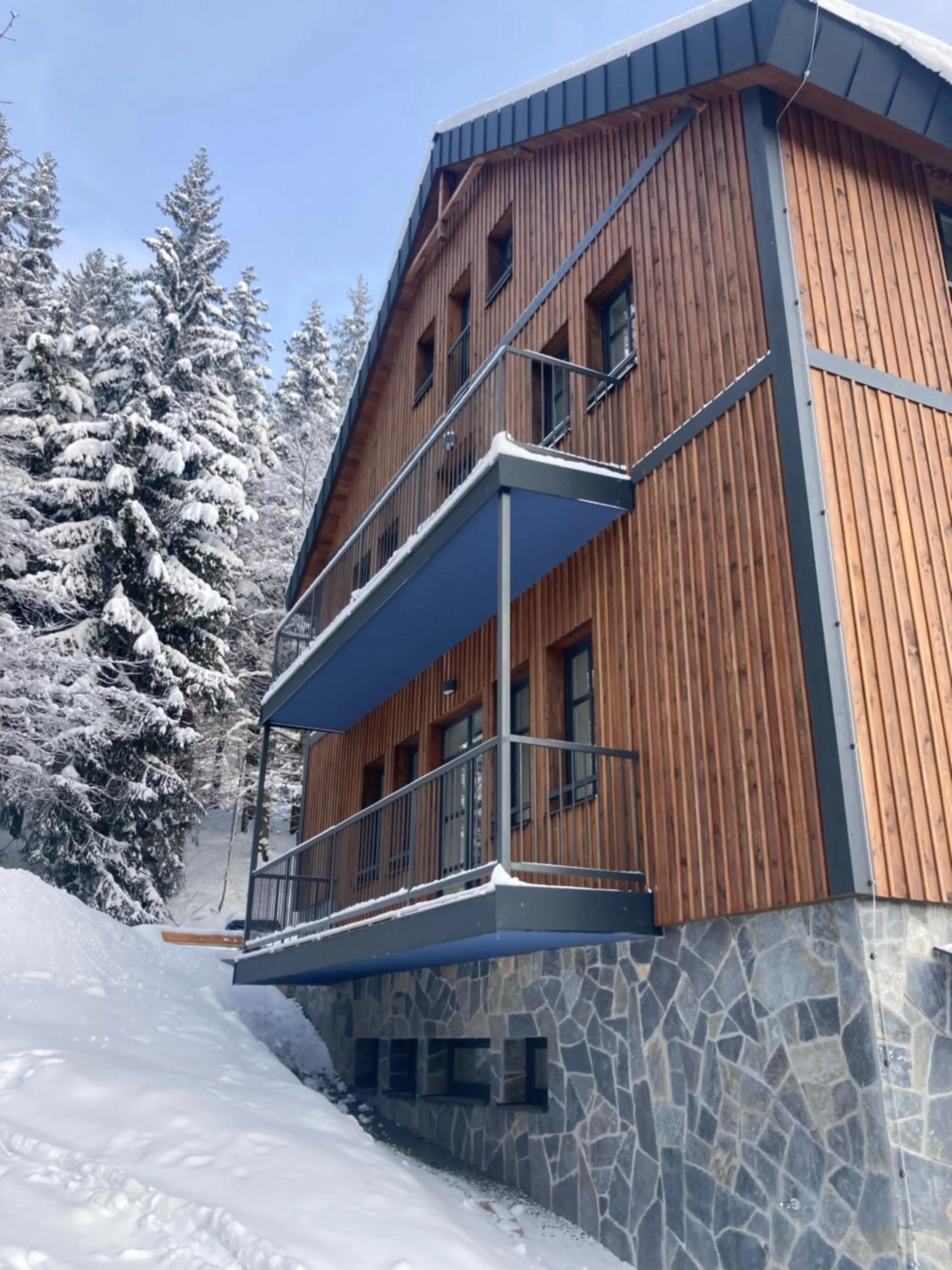 Property building in Ludvíkova bouda