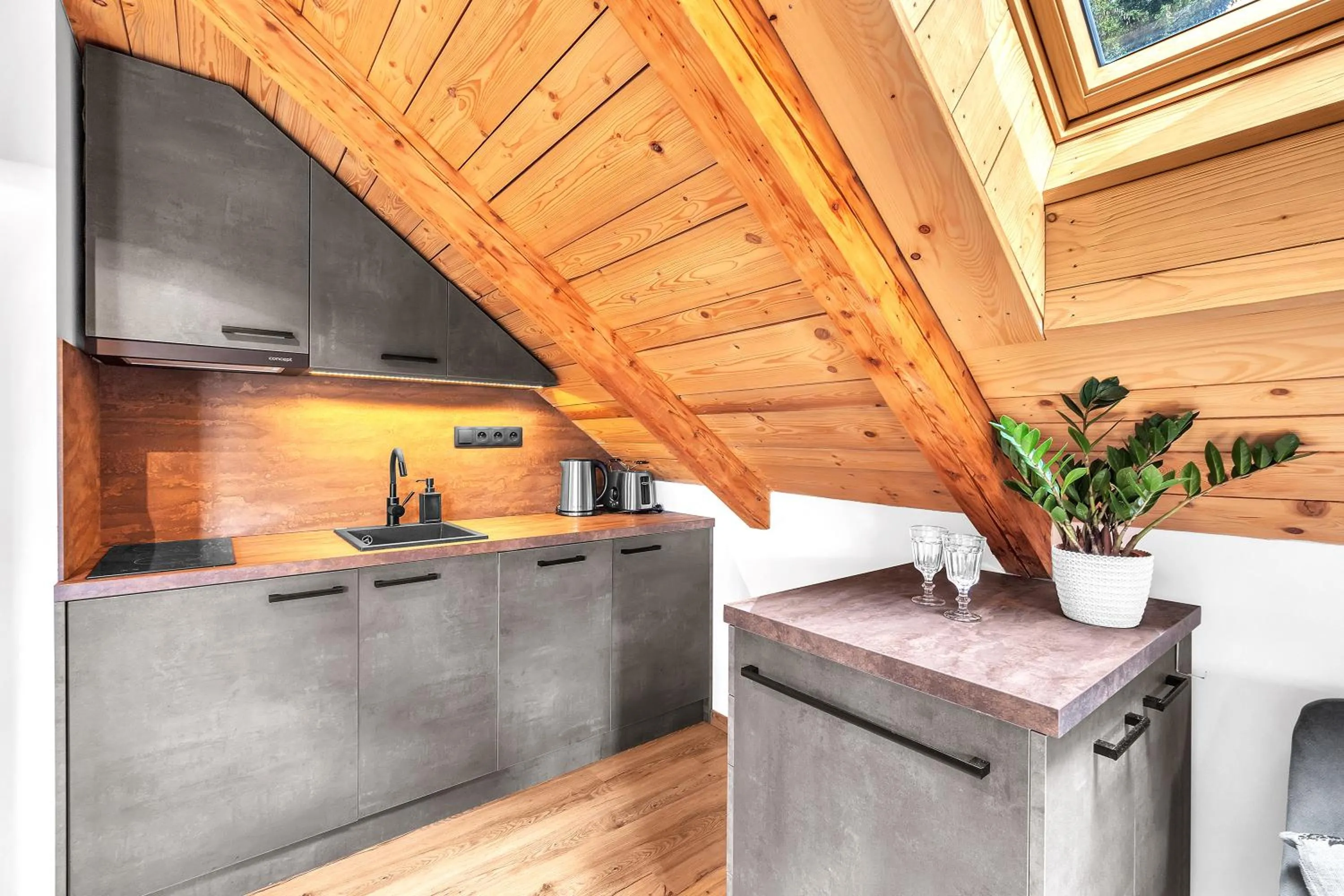 Kitchen or kitchenette in Ludvíkova bouda