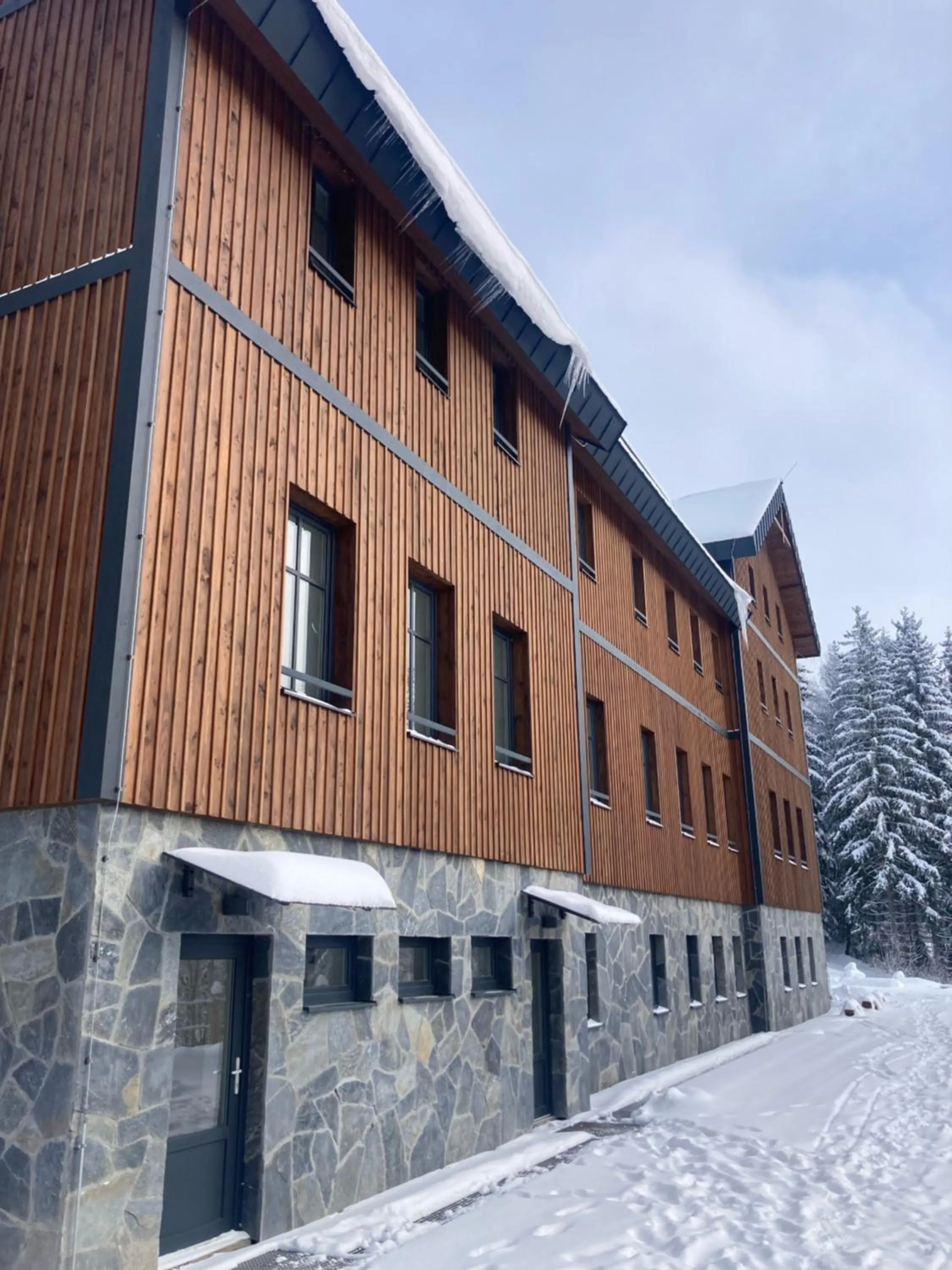 Property building in Ludvíkova bouda
