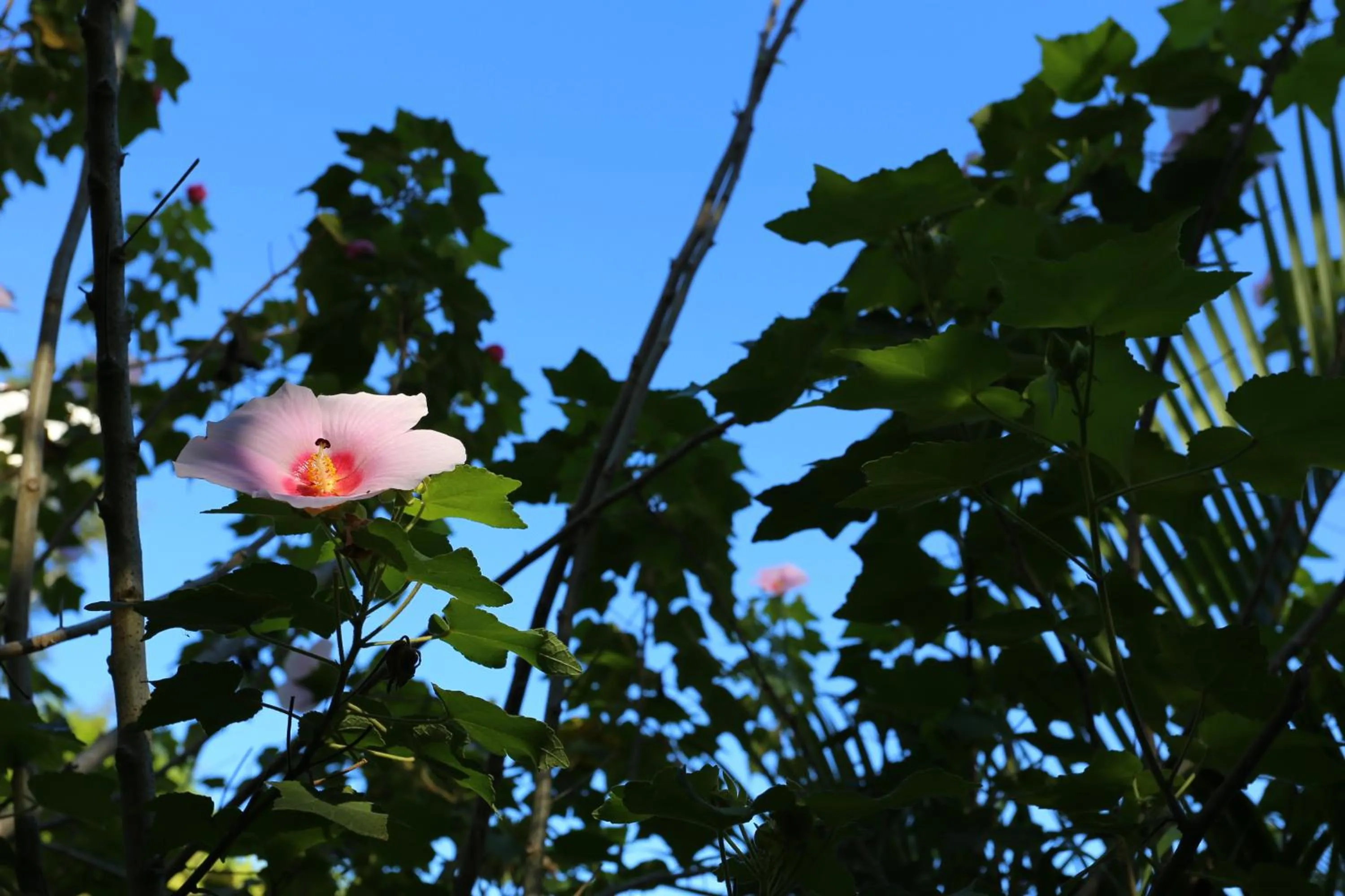 Area and facilities in The Hideaway Hotel