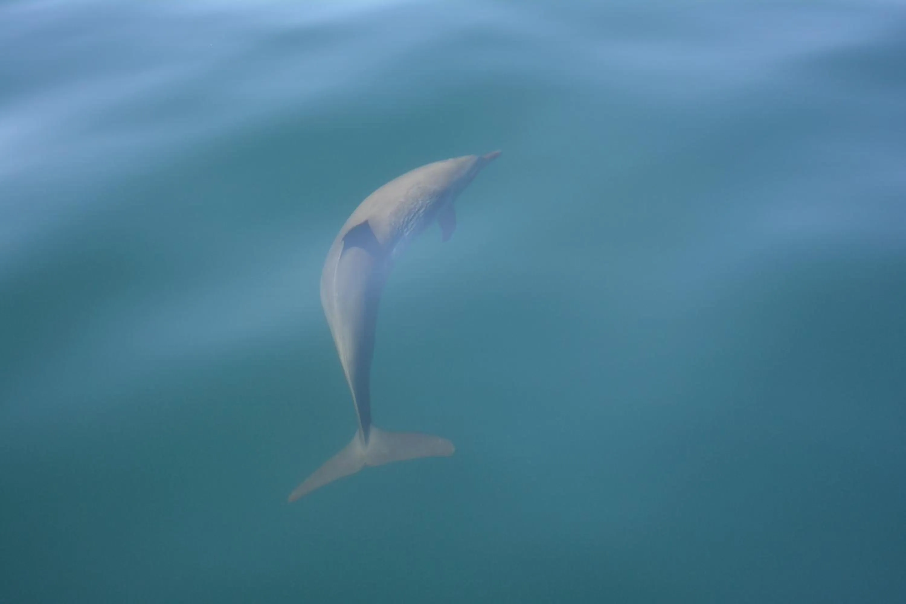 Fishing in The Hideaway Hotel