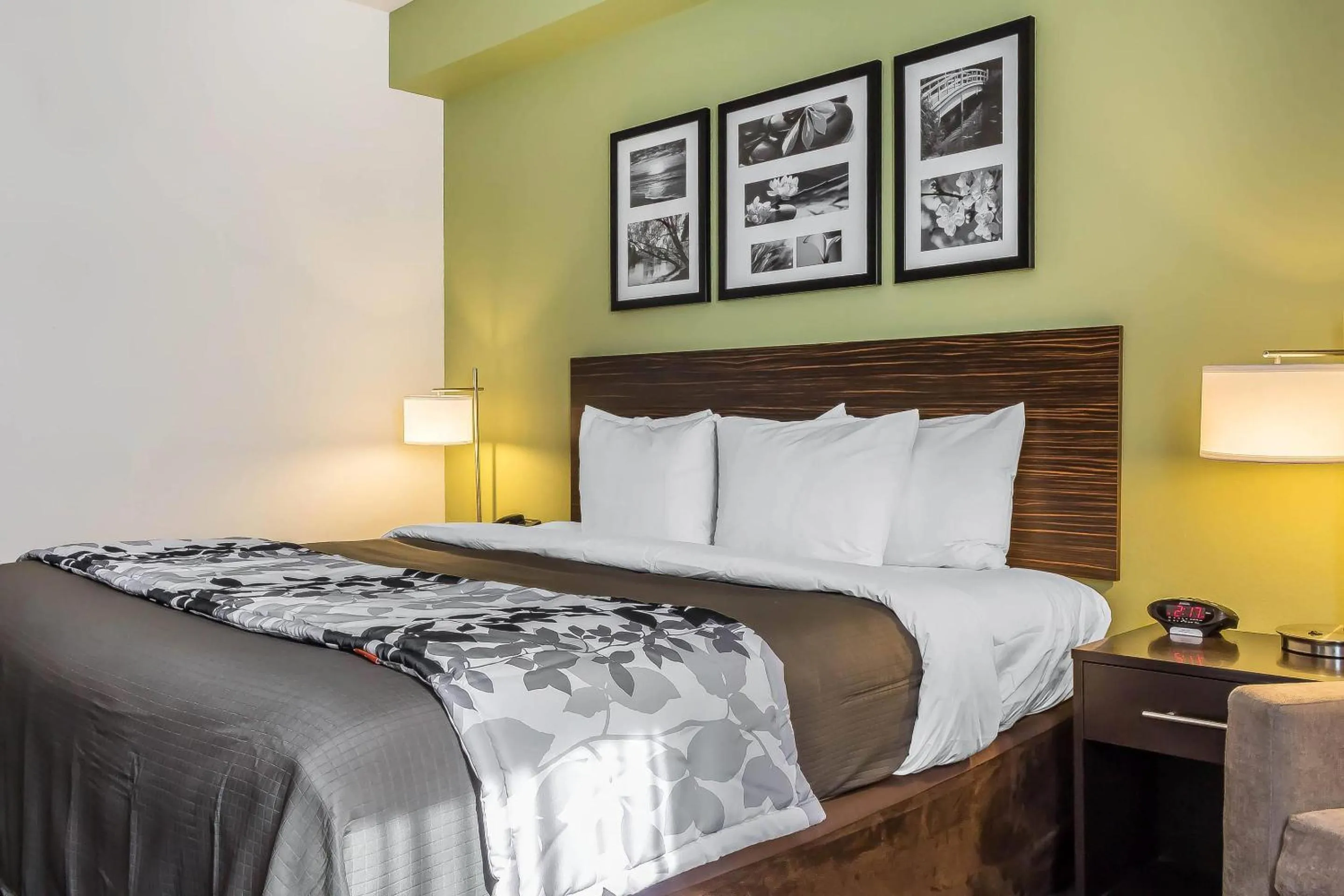 Bedroom, Bed in Sleep Inn Philadelphia Center City