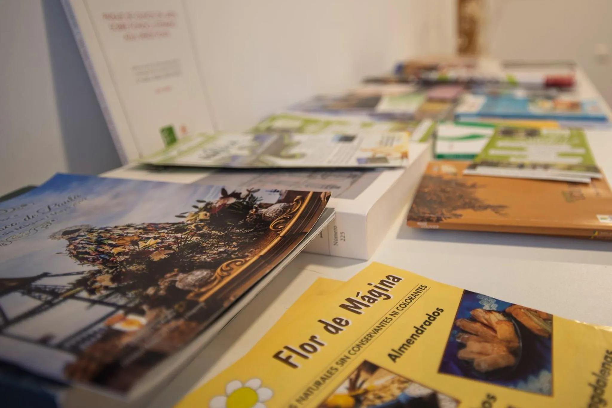 Hotel Rural Aznaitín