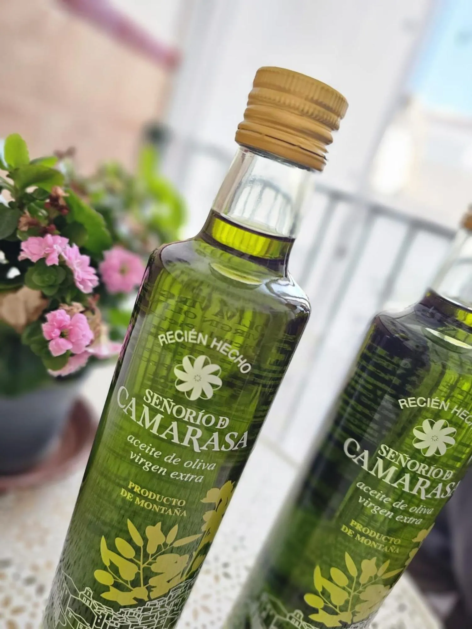 Lounge or bar in Hotel Rural Aznaitín