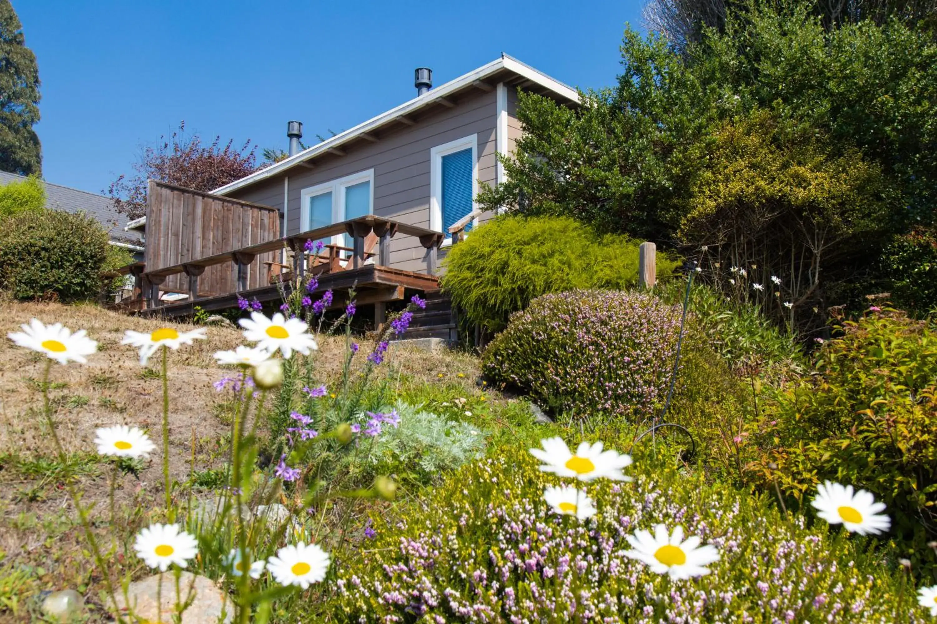 Standard Queen Room in SCP Mendocino Coast Lodge Standard Queen Room in SCP Mendocino Coast Lodge