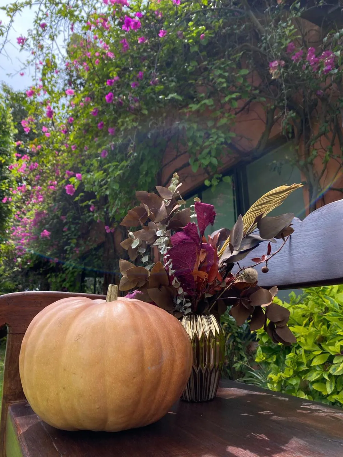 Garden in Casa Shambhala Malinalco