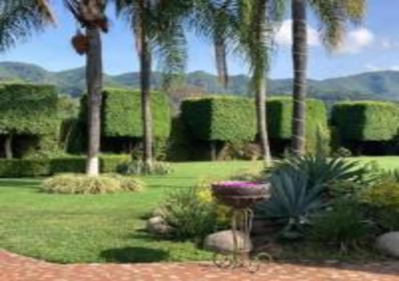 Garden in Casa Shambhala Malinalco