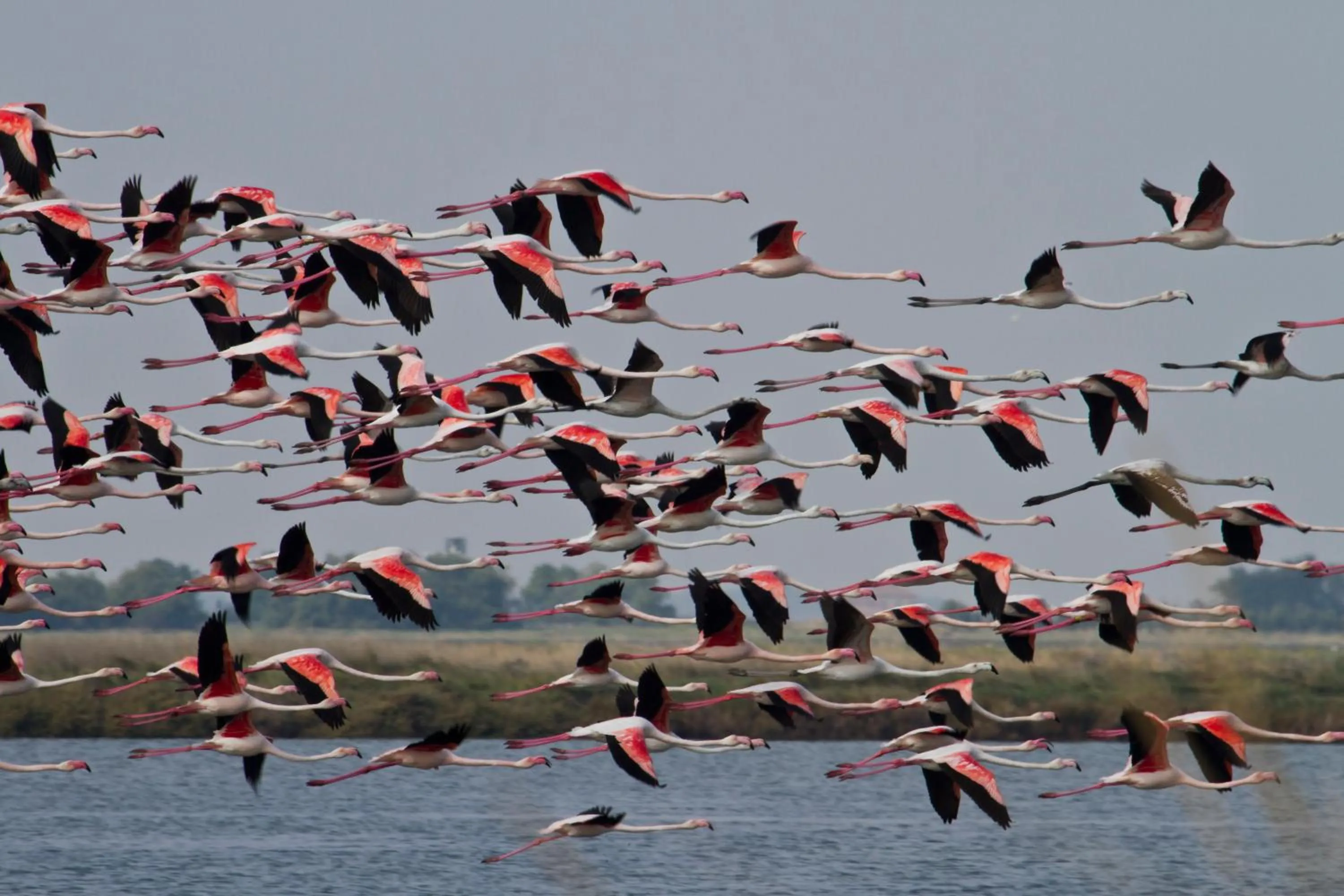 Nearby landmark in Residence San Paolo