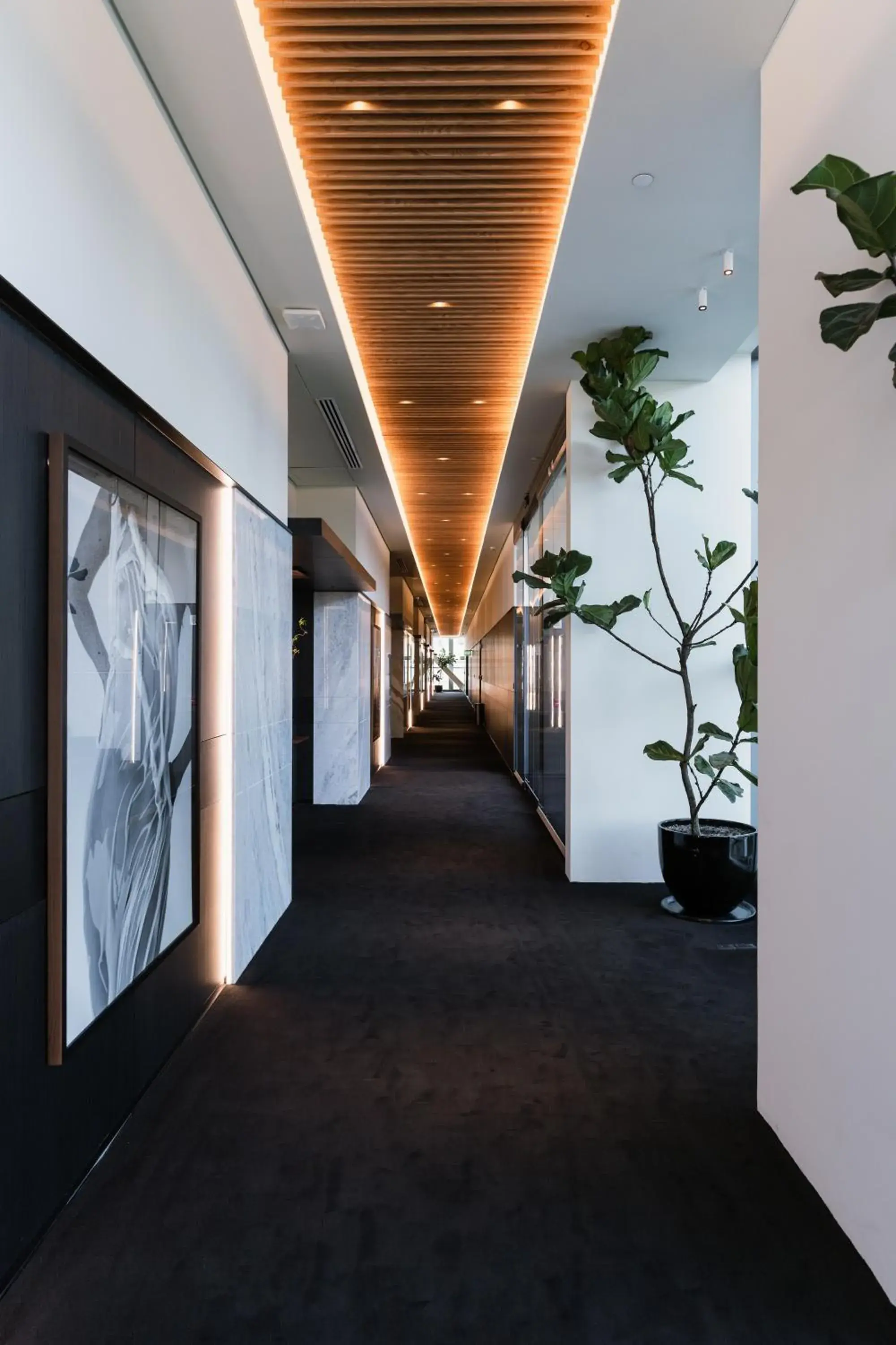 Lobby or reception in Alexander Hotel Lobby or reception in Alexander Hotel