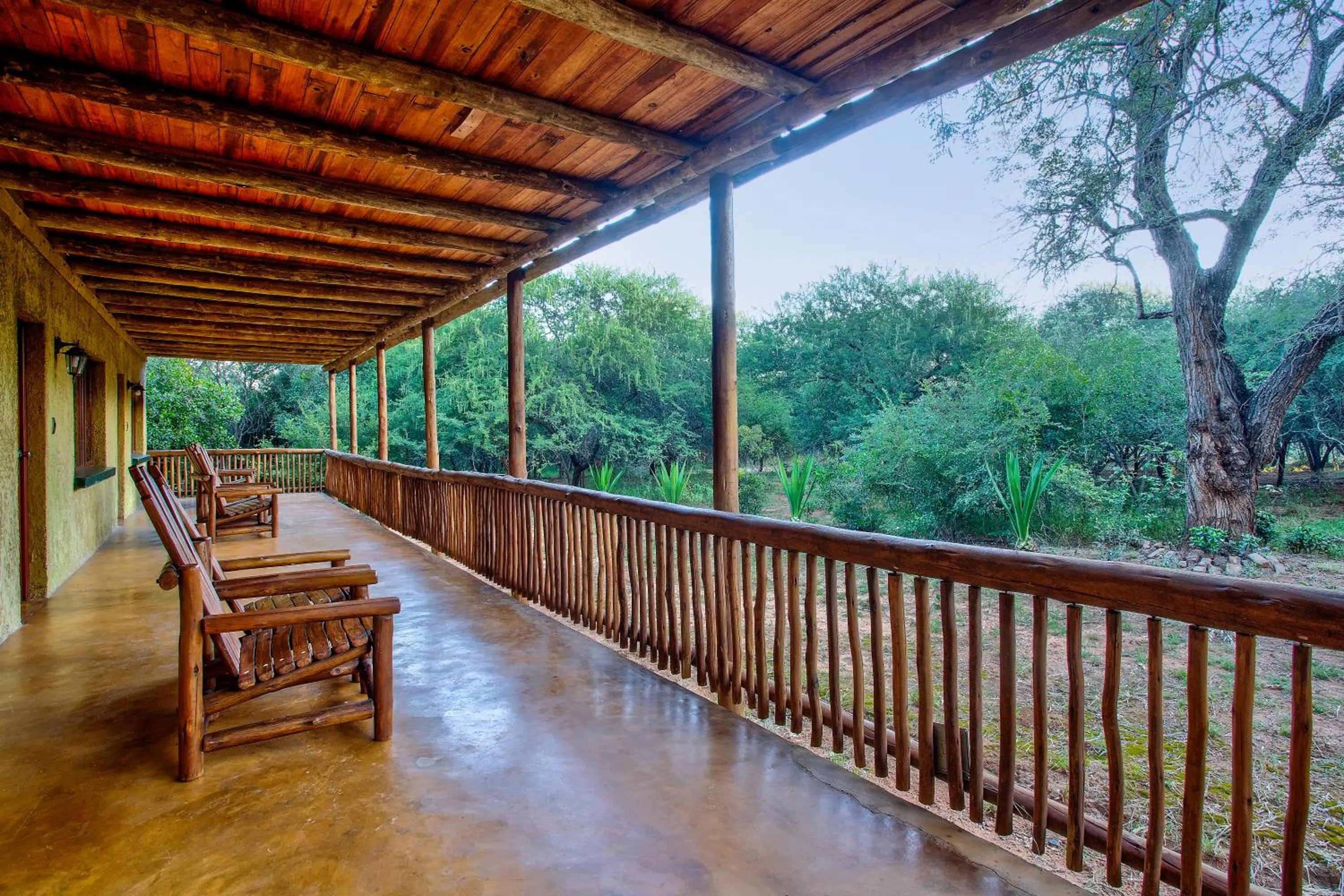Patio in Kubu Safari Lodge