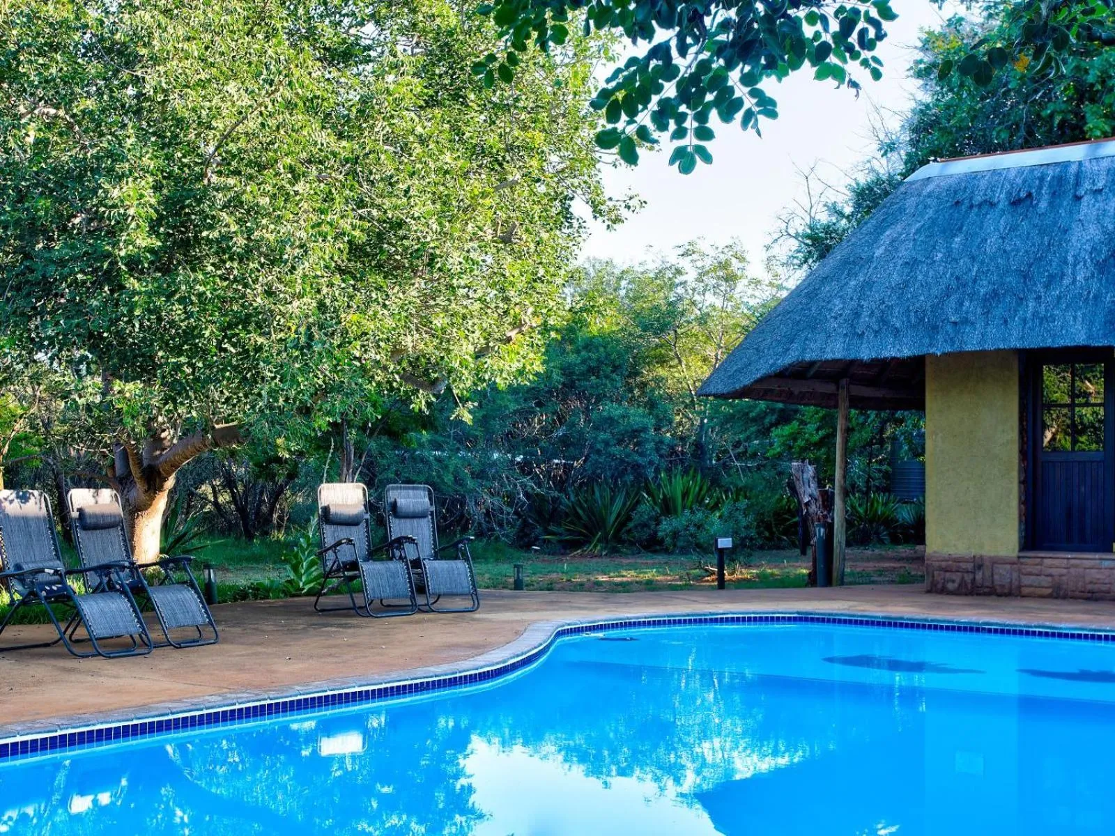Swimming pool in Kubu Safari Lodge