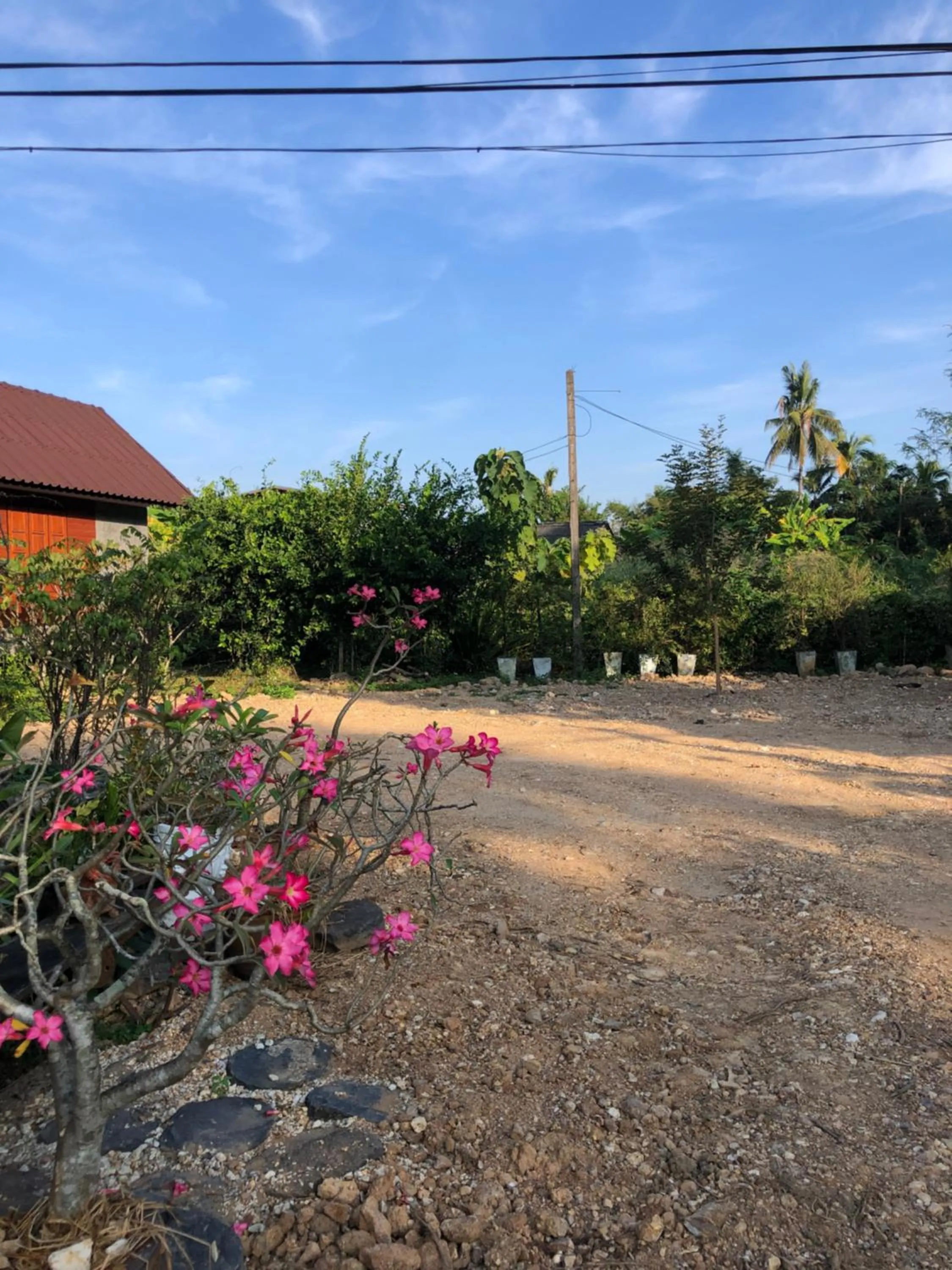 Inner courtyard view in Lampang homestay2