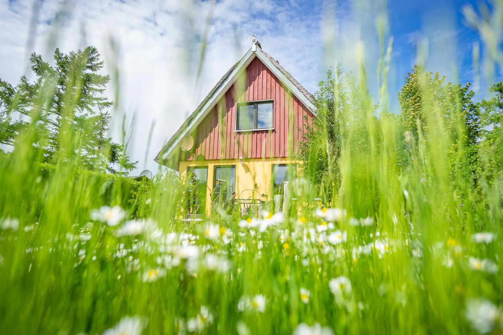Property building in Ferienhaus "Halfdin- Halfmin"
