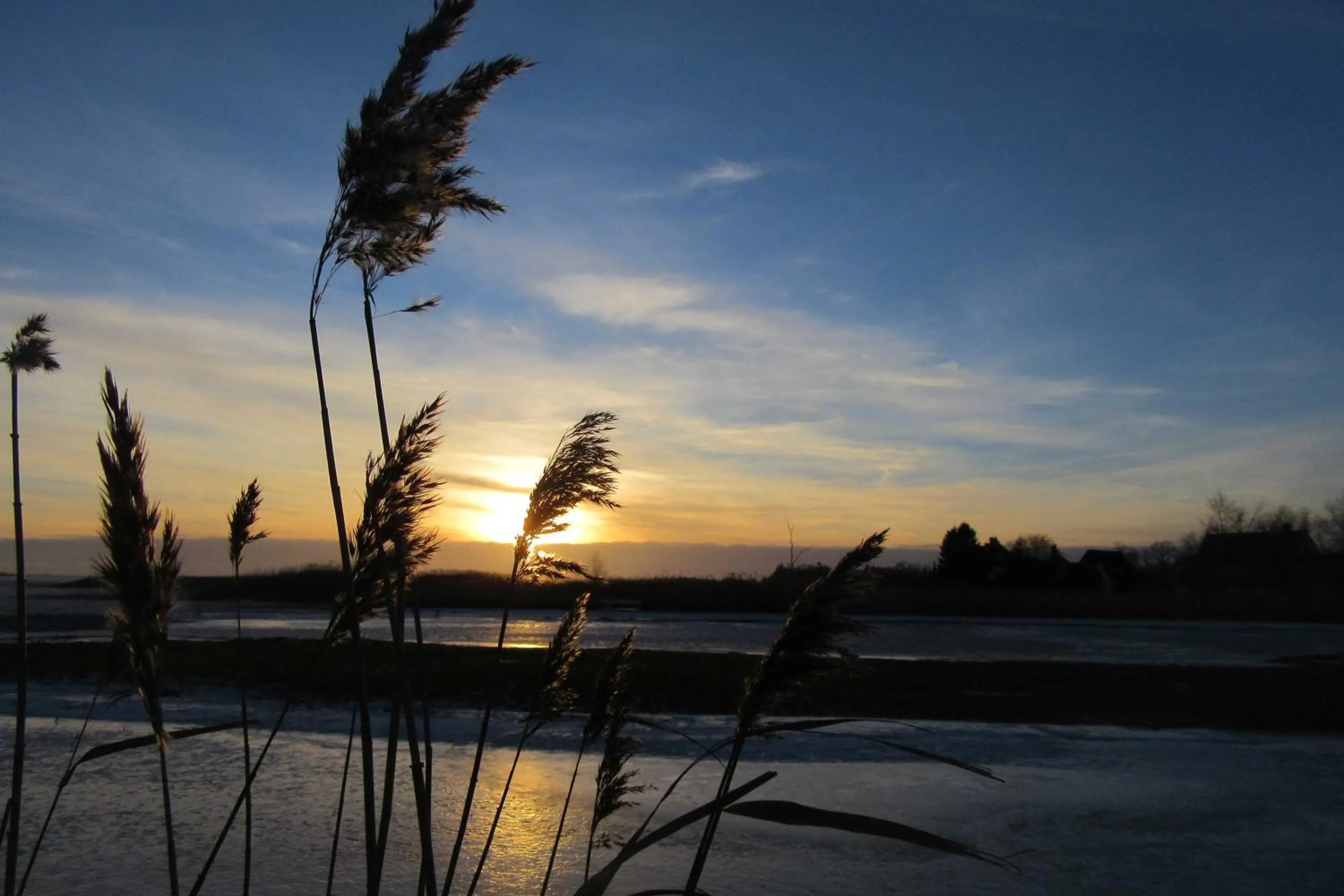 Haus "Fock"