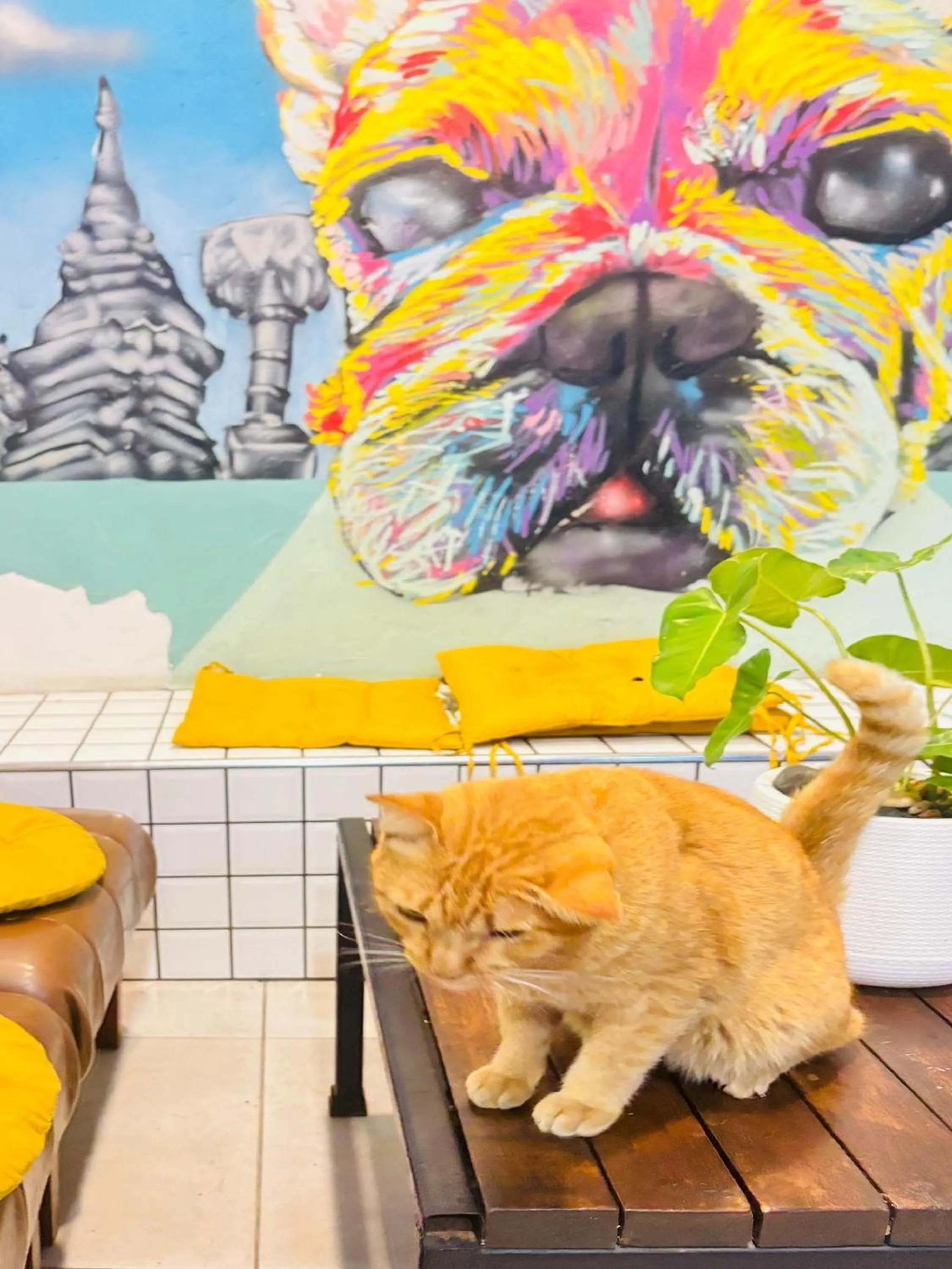 Property building in The Yak Cozy Chiang Mai