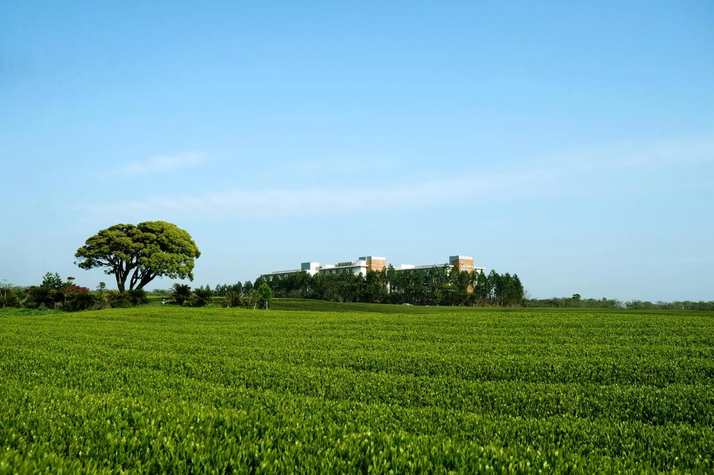 Facade/entrance in Jeju Aerospace Hotel