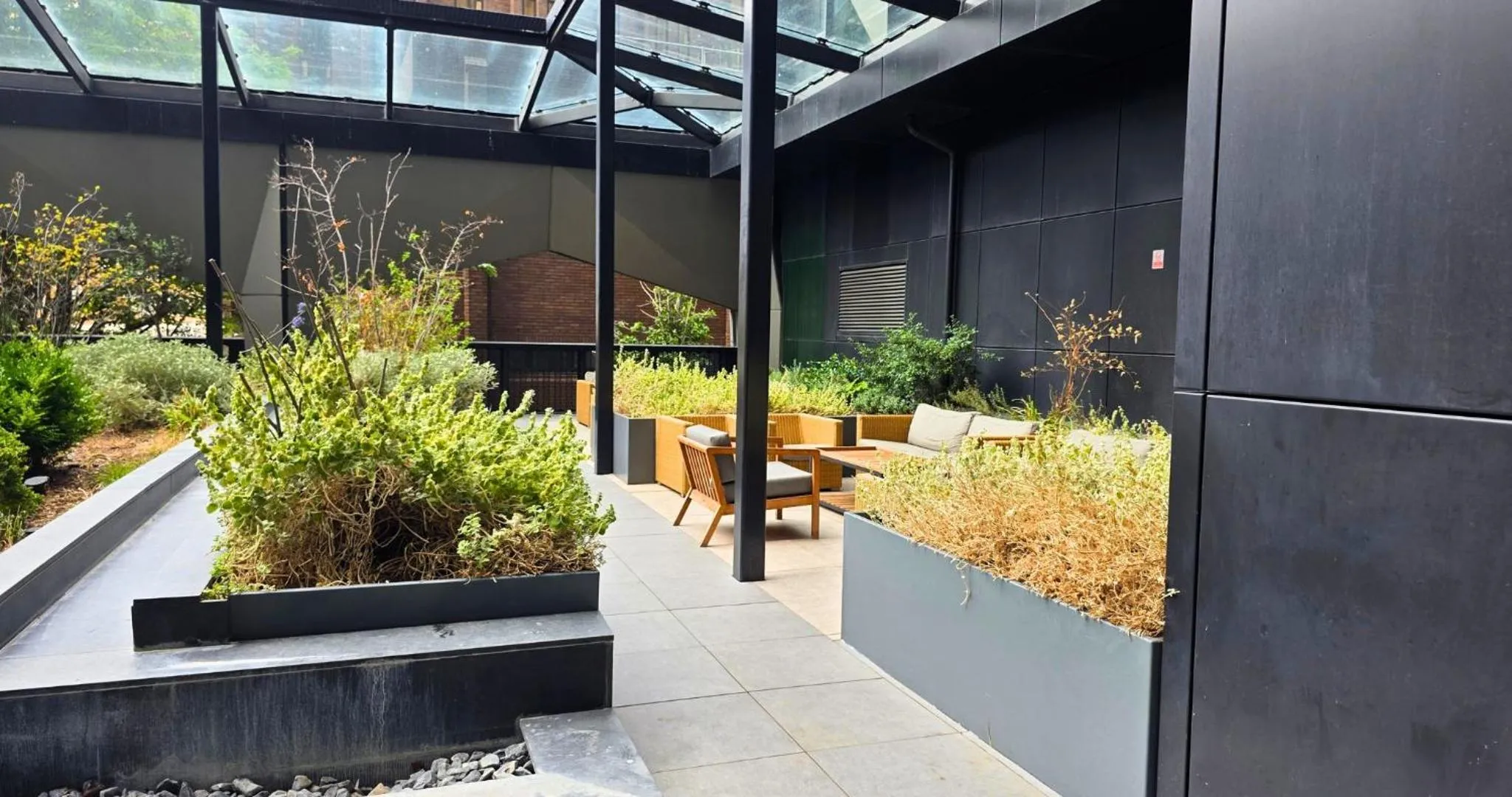 Garden in Charles Hope London Croydon