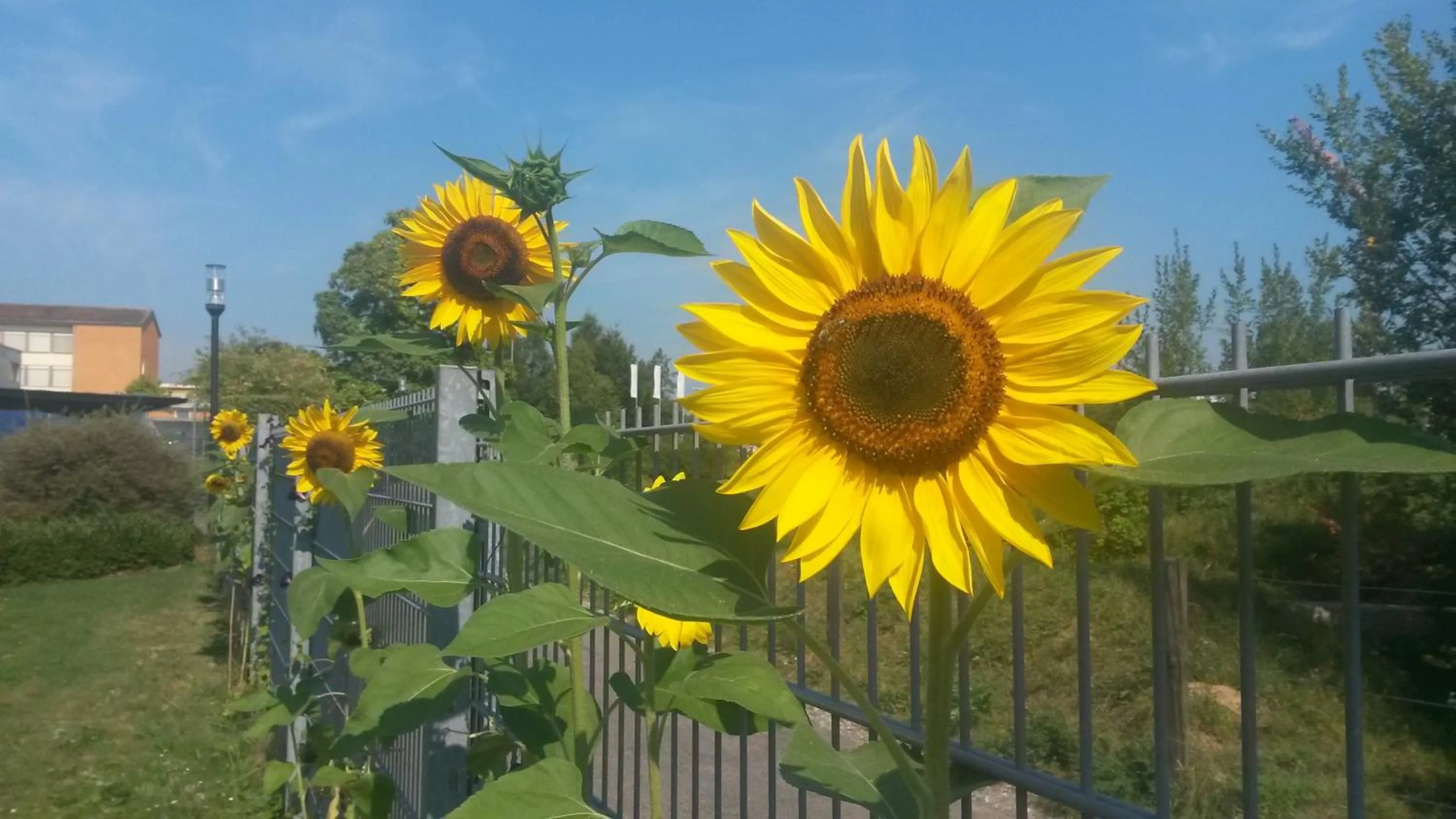 Area and facilities in Jugendherberge Romanshorn