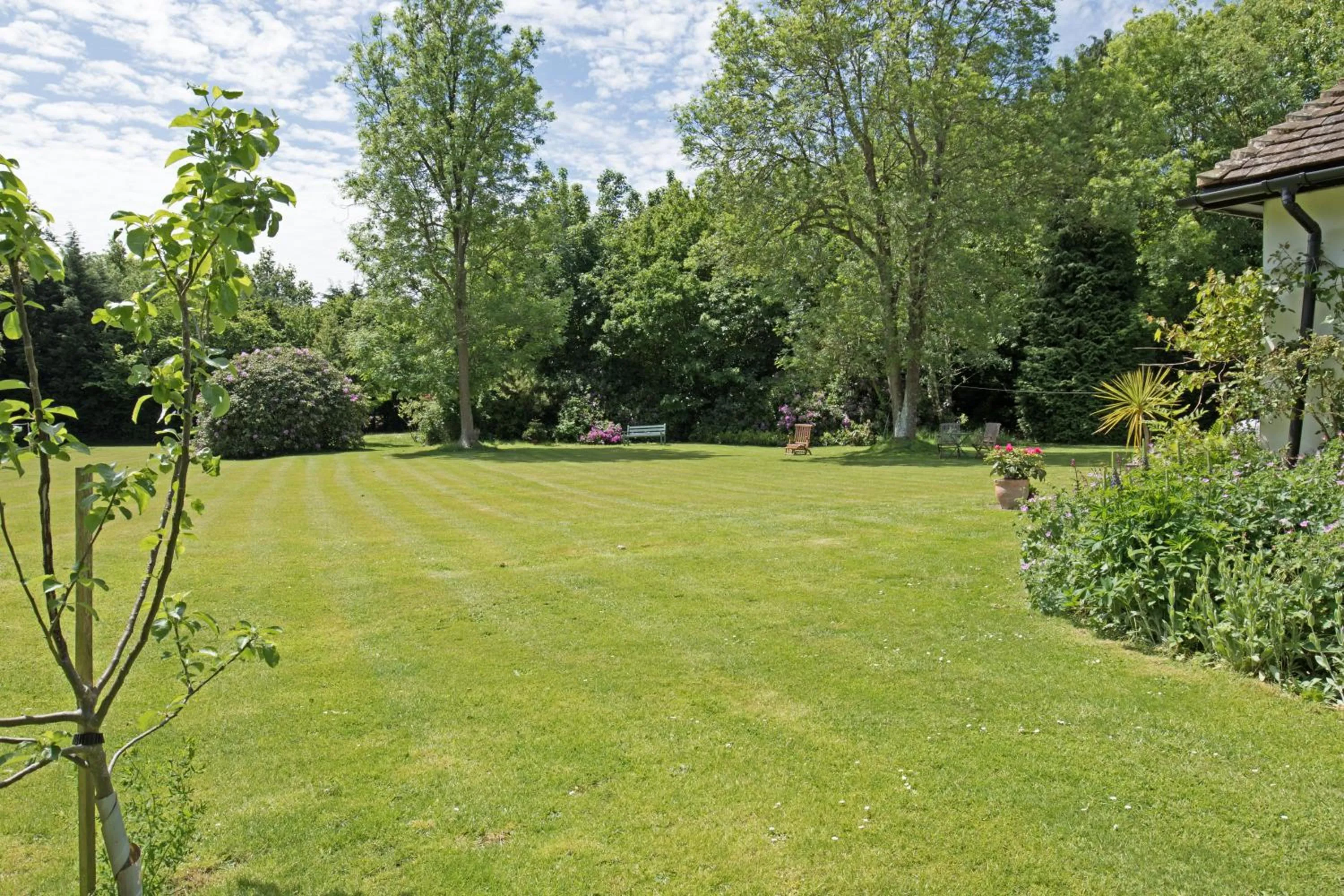 Garden in Woodacre B & B