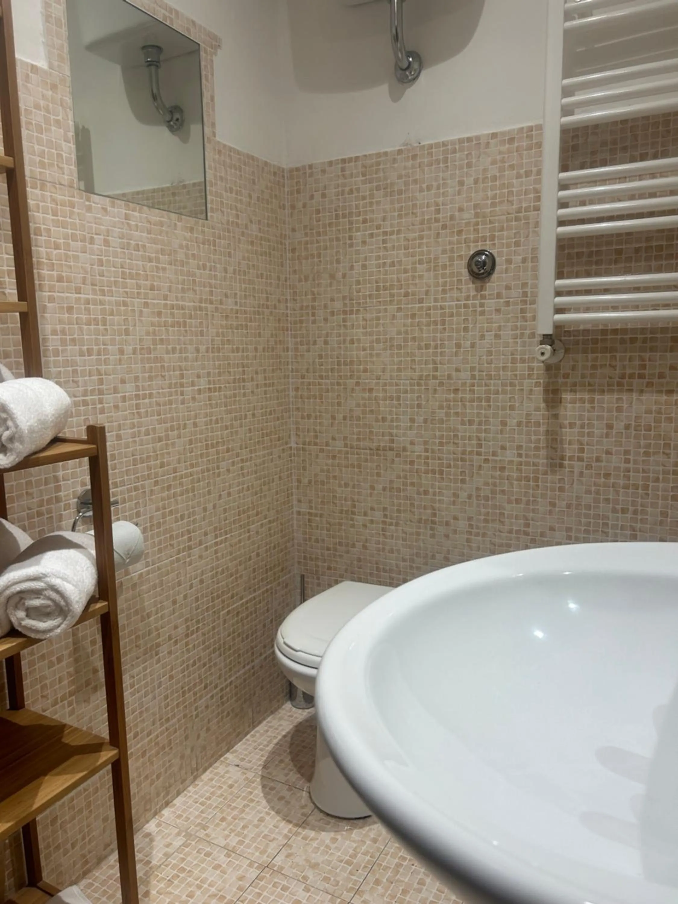 Toilet in Vanella Rome Domus