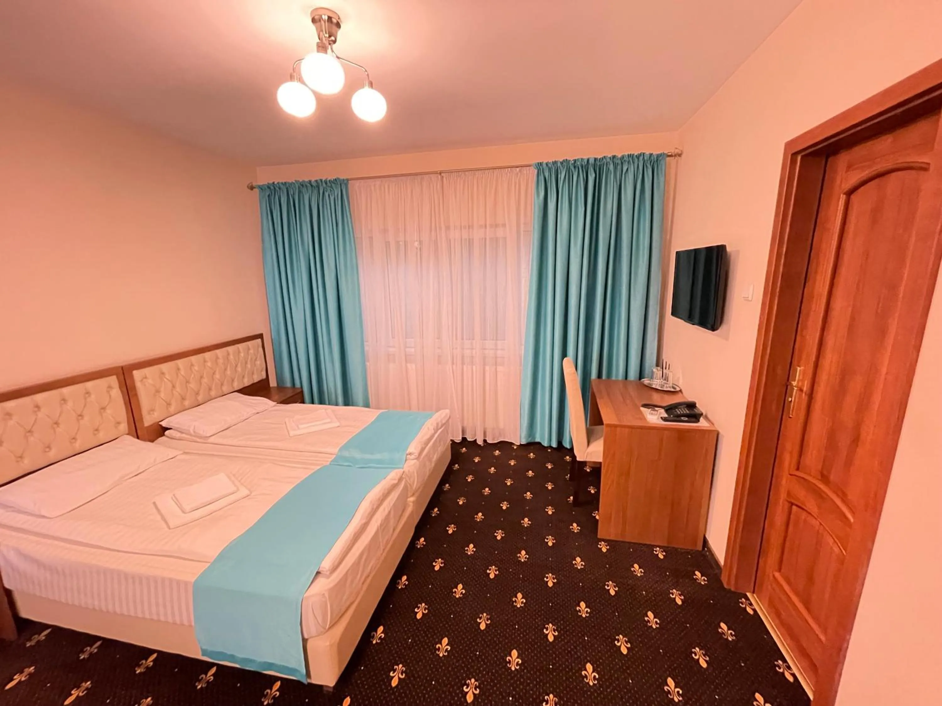 Hostel Paltinis