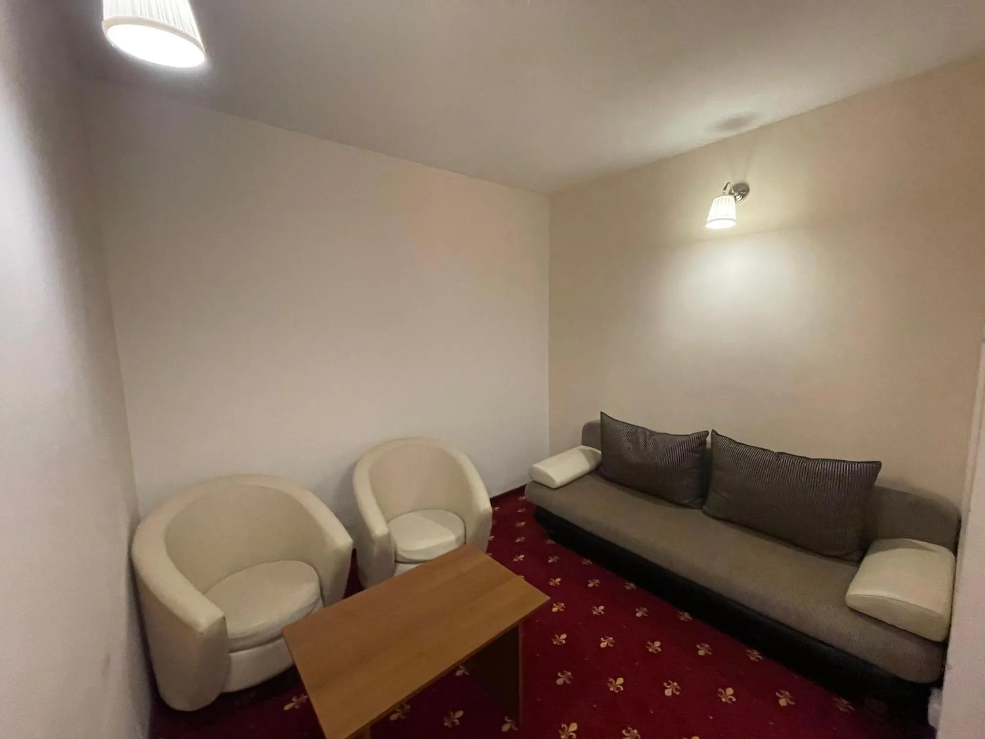Hostel Paltinis