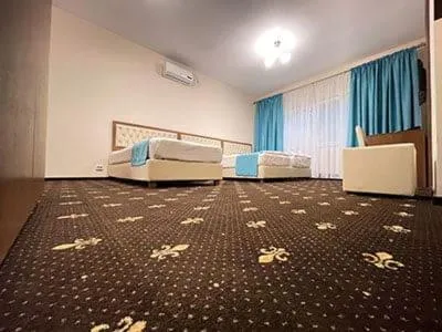 Hostel Paltinis
