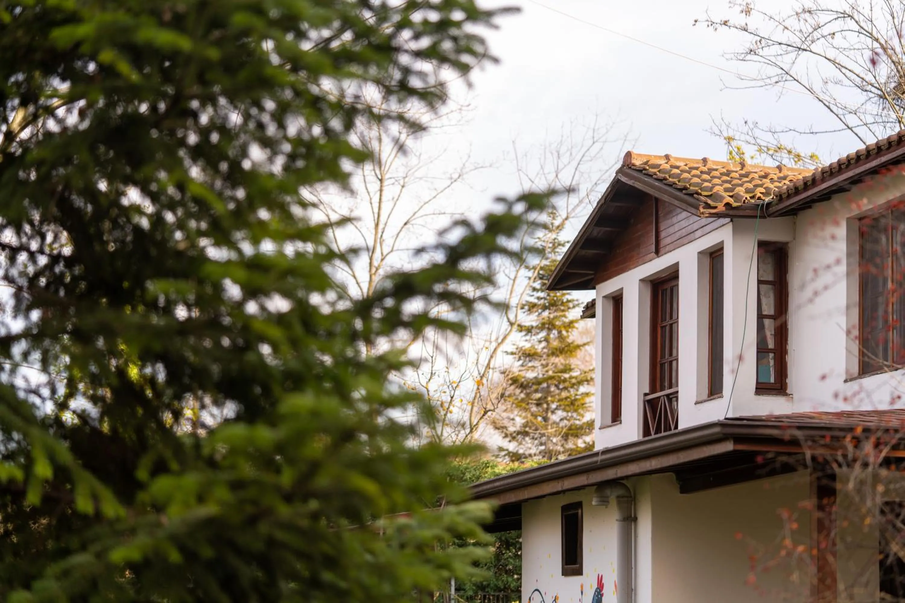 Property building in Beta Home Sapanca