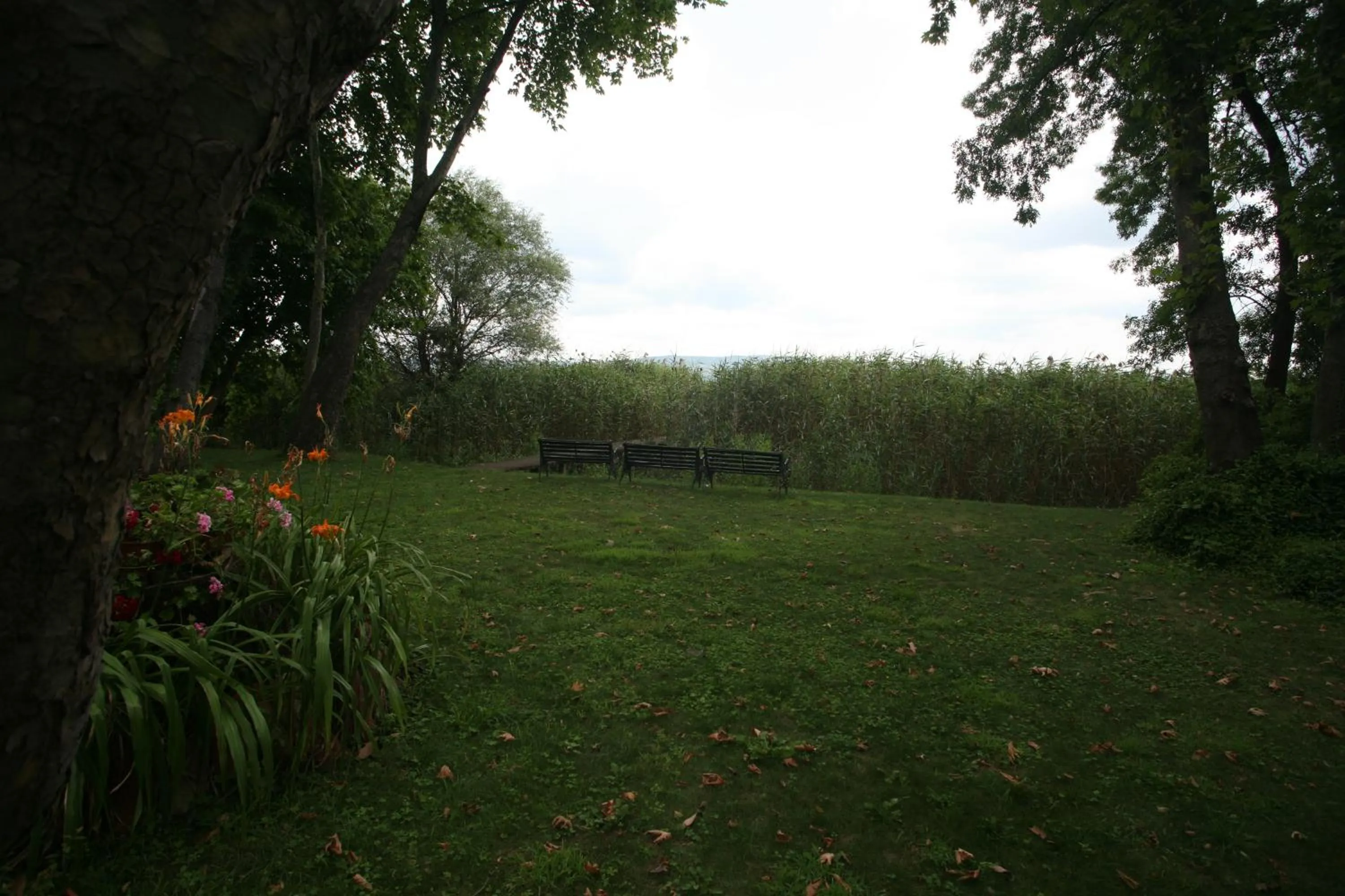 Garden in Beta Home Sapanca