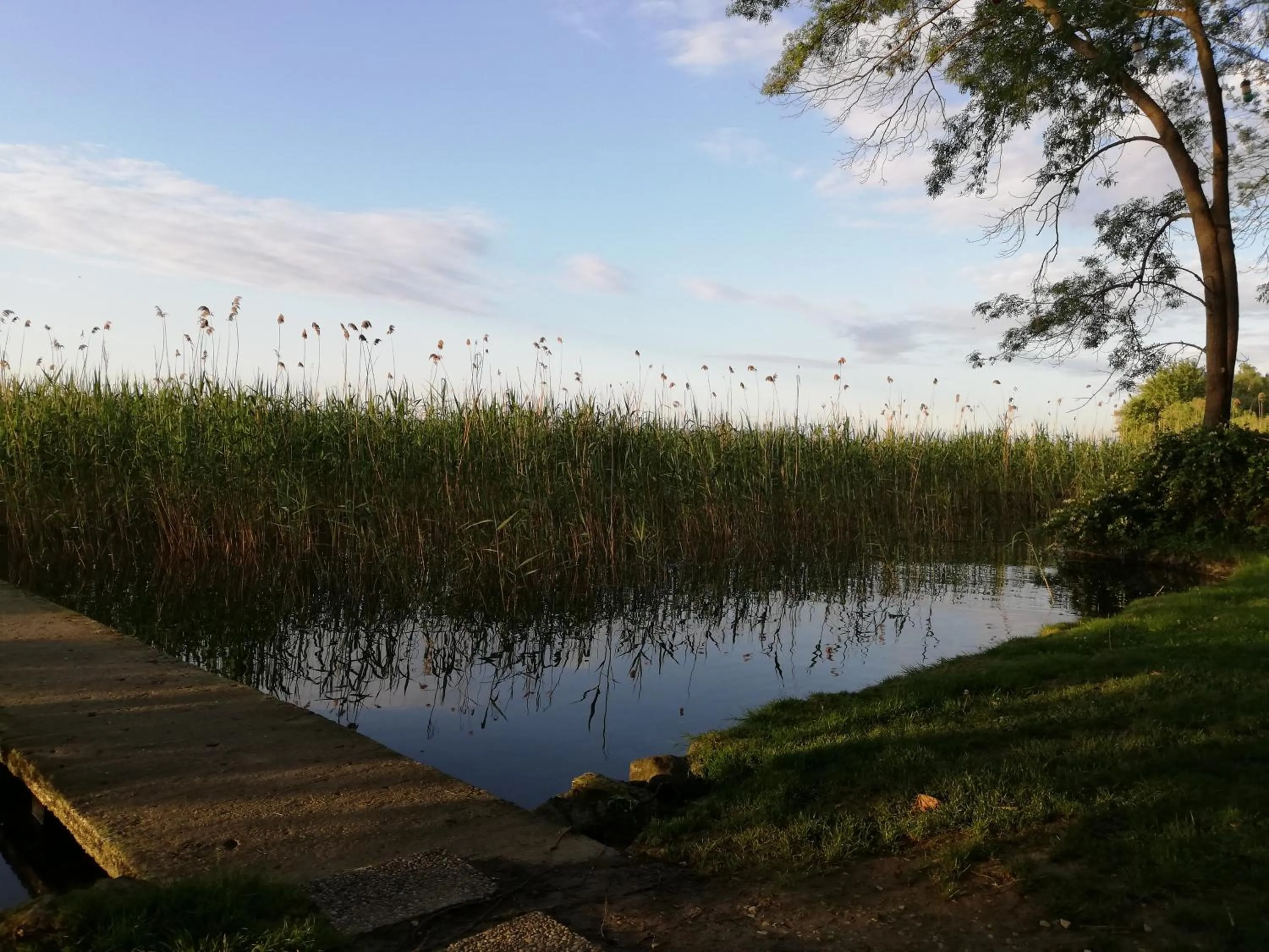 Lake view in Beta Home Sapanca
